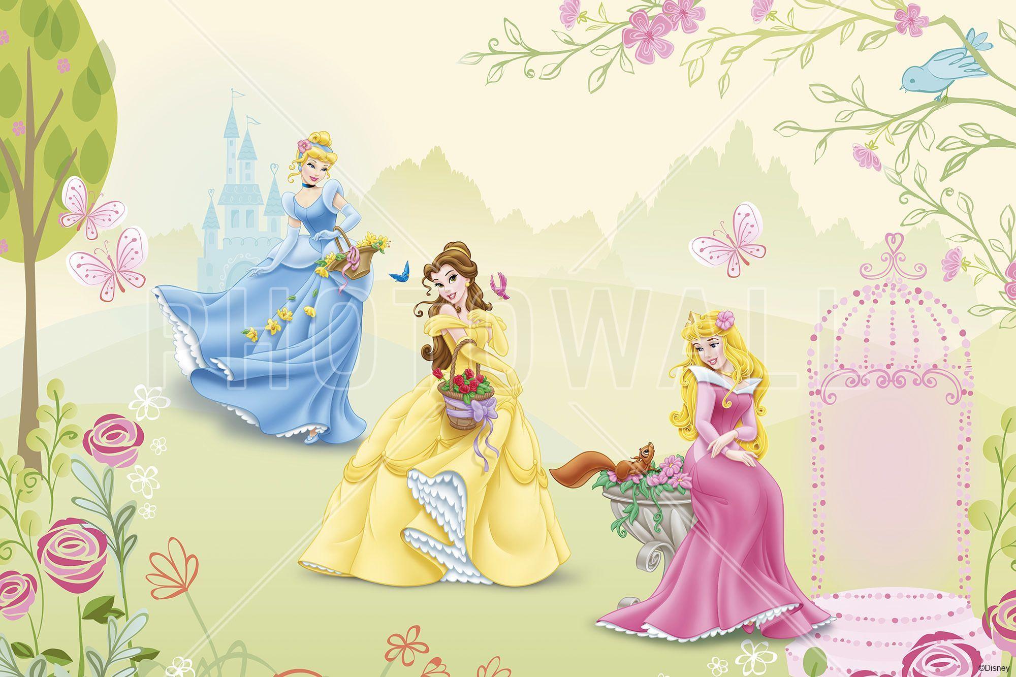Princess Belle Wallpaper Wallpaper. HD Wallpaper. HD