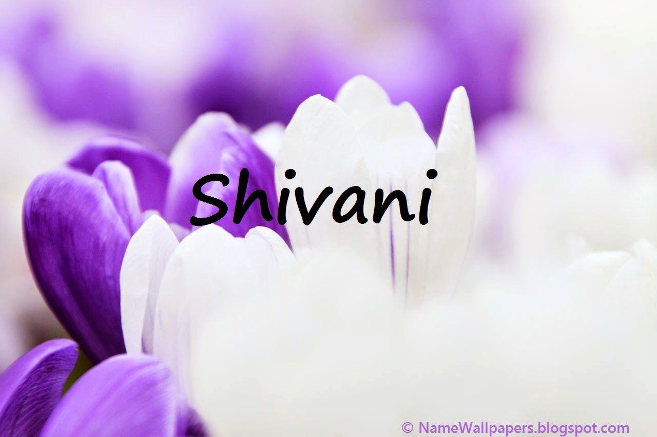 shivani-wallpapers-wallpaper-cave