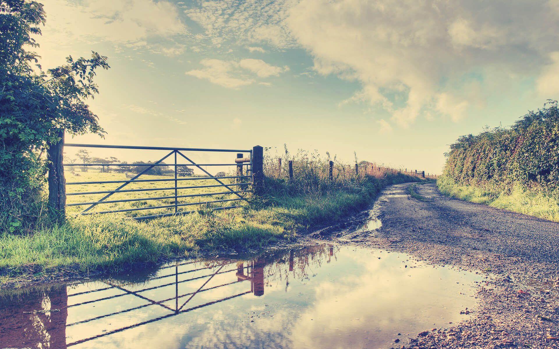 Beautiful monsoon nature wallpaper