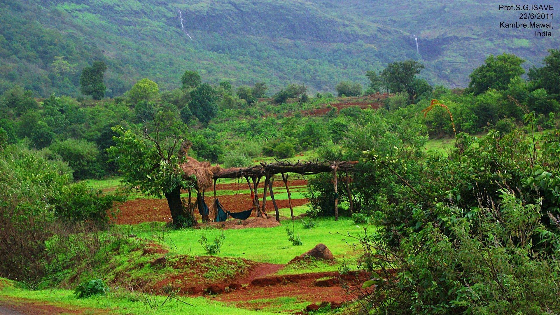 Miscellaneous: Greenroofs Landscape Andar Mawal Dams Nilshi Sahyadri