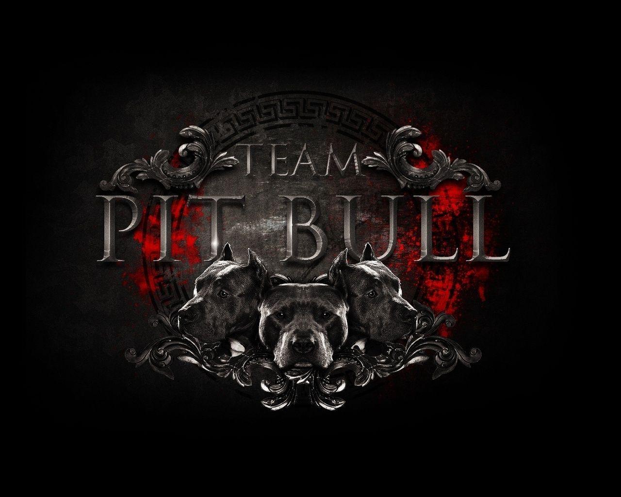 Logo, Mma, Team Pit Bull, Team, Logo, Logo, Fight Club