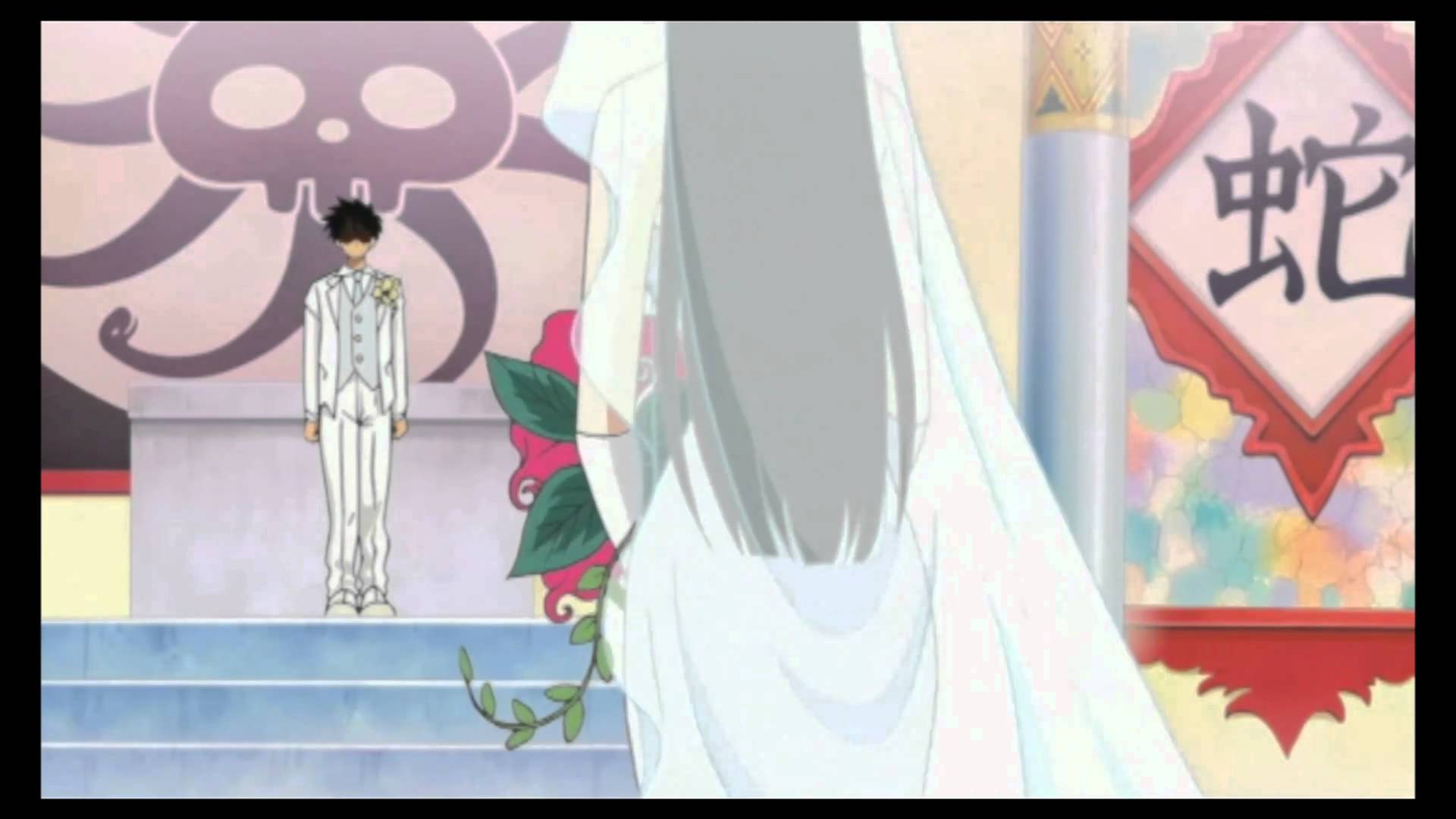 Luffy marrying boa hancock