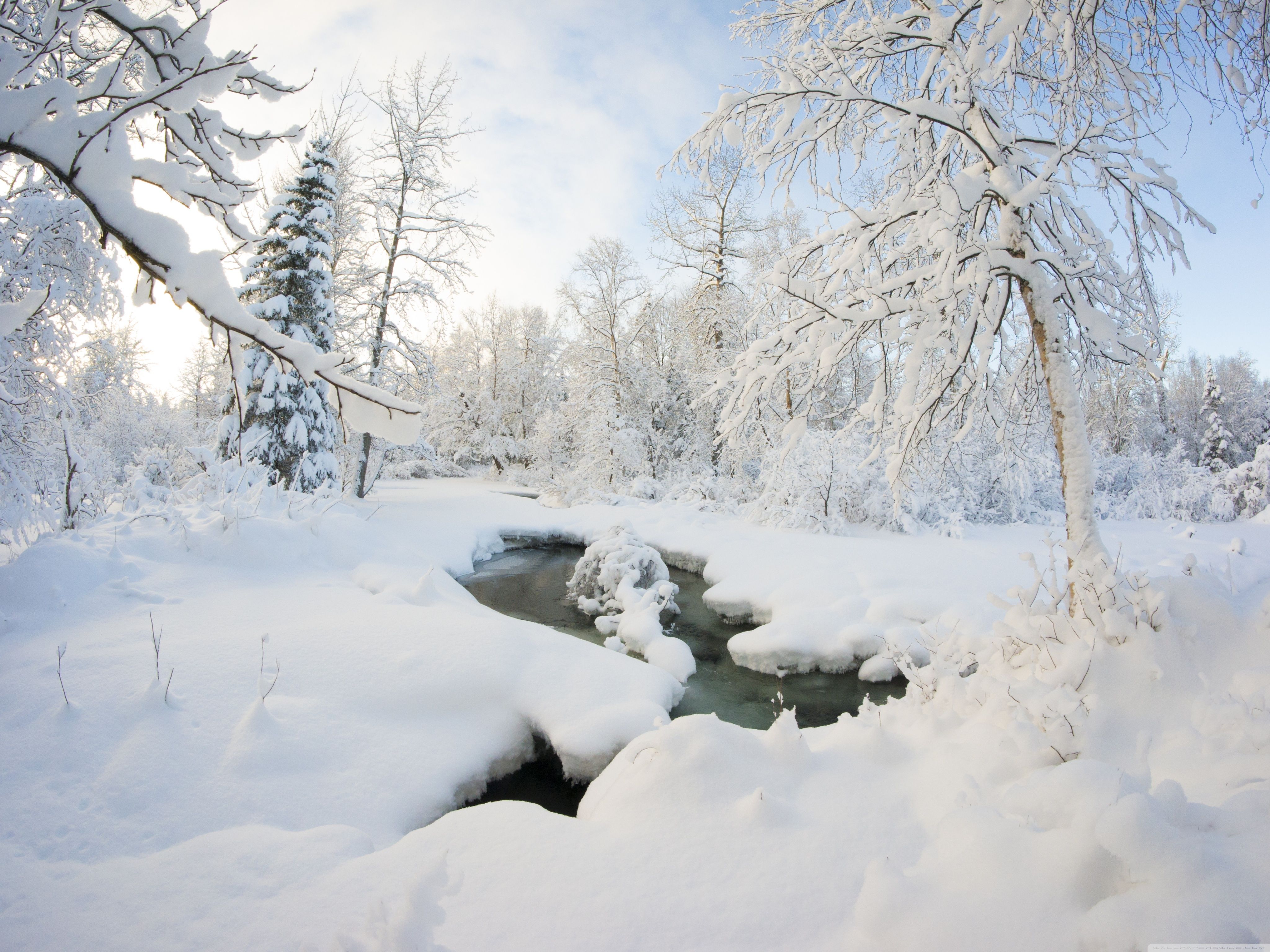 Winter HD Desktop Wallpaper for Widescreen. HD Wallpaper