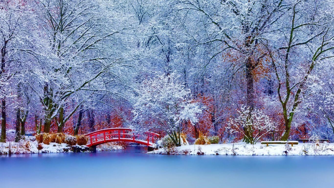 Winter Nature Background. Winter Wallpaper HD Wallpaper
