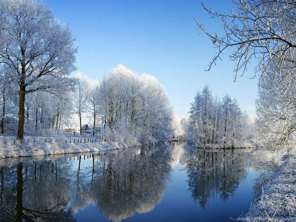 Blue Background Winter Nature Wallpaper Desktop Background