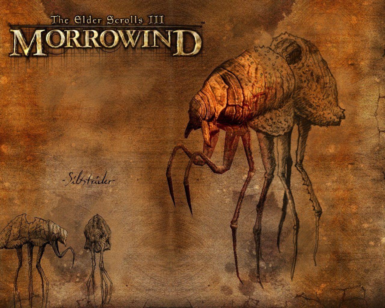 Morrowind Wallpapers HD Wallpaper Cave
