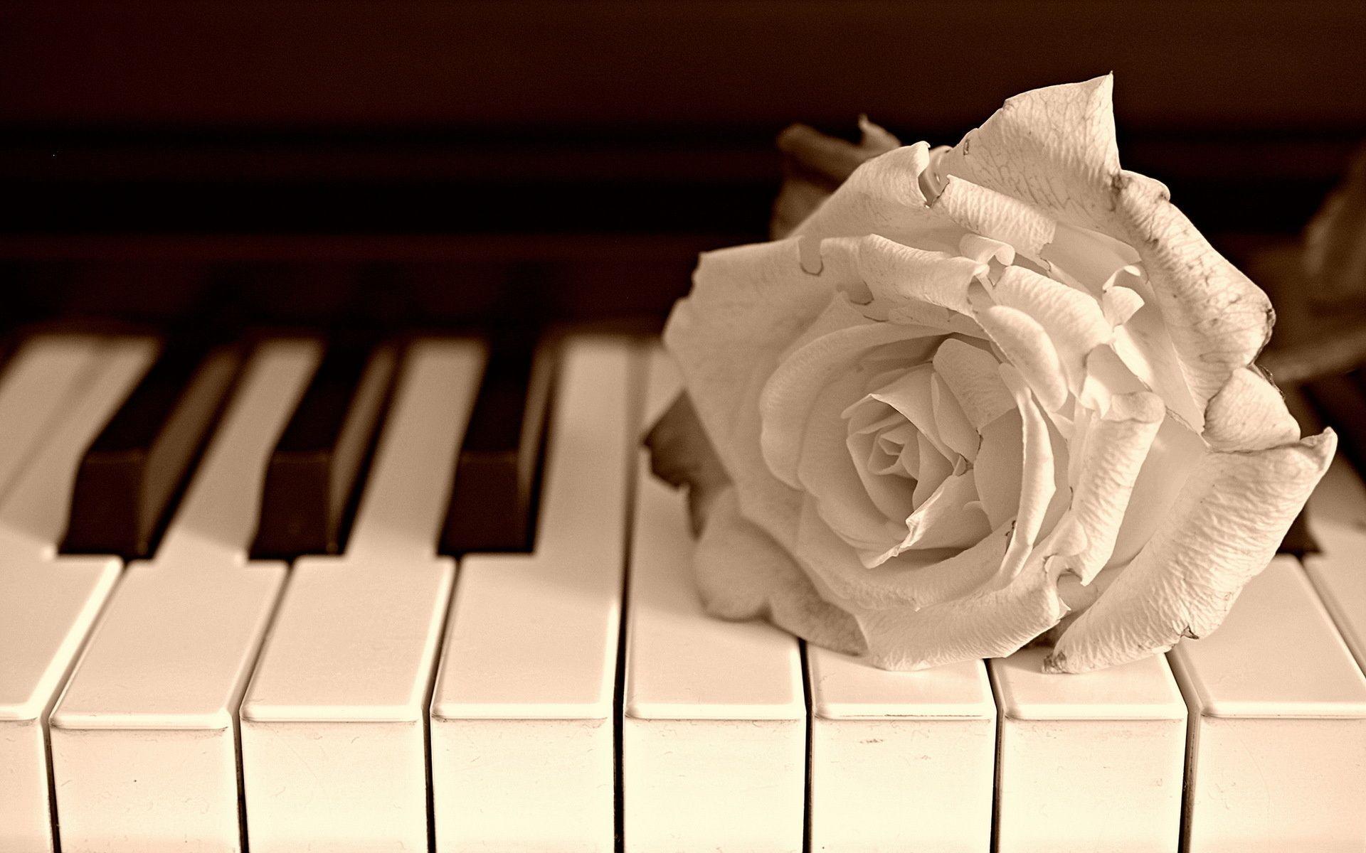 Piano Wallpaper, High Definition, High Quality, Widescreen