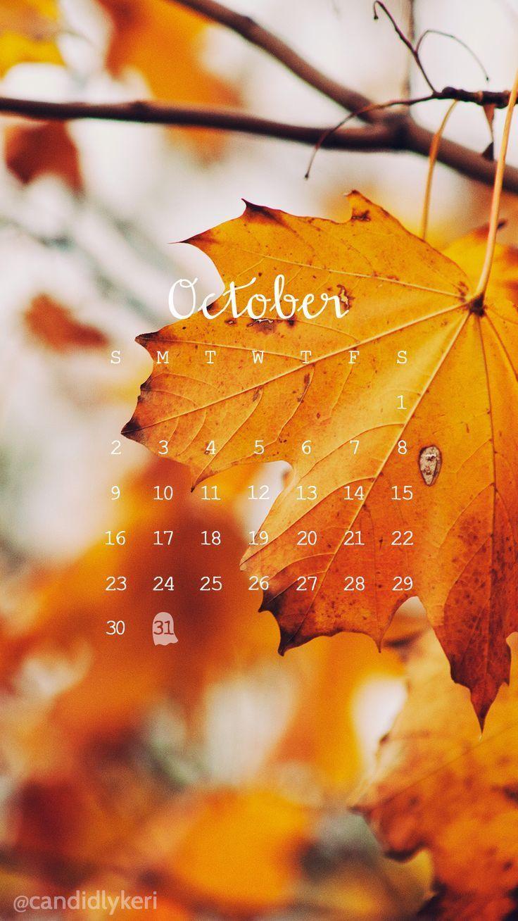 Fall leaves photo October calendar 2016 wallpaper you can download