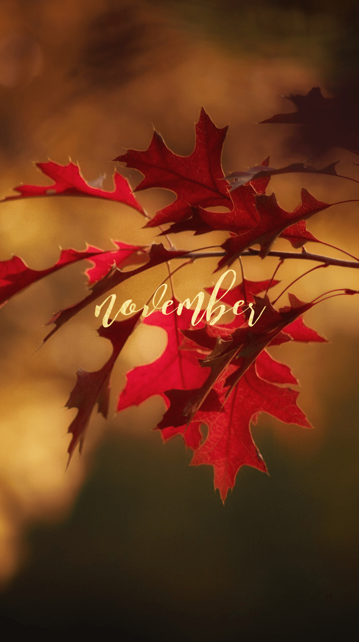 November Autumn Wallpaper Edit. Wonderstruck✧Wallpaper