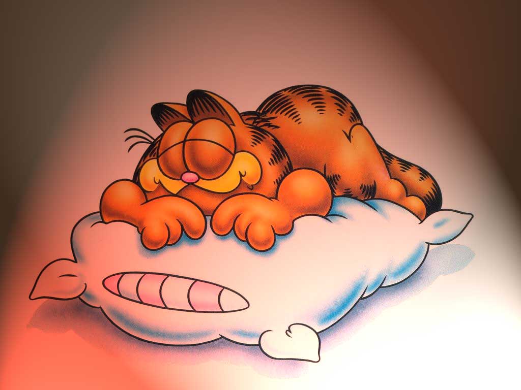 Garfield Sleeping On A Pillow Widescreen Wallpaper. Wide Wallpaper.NET