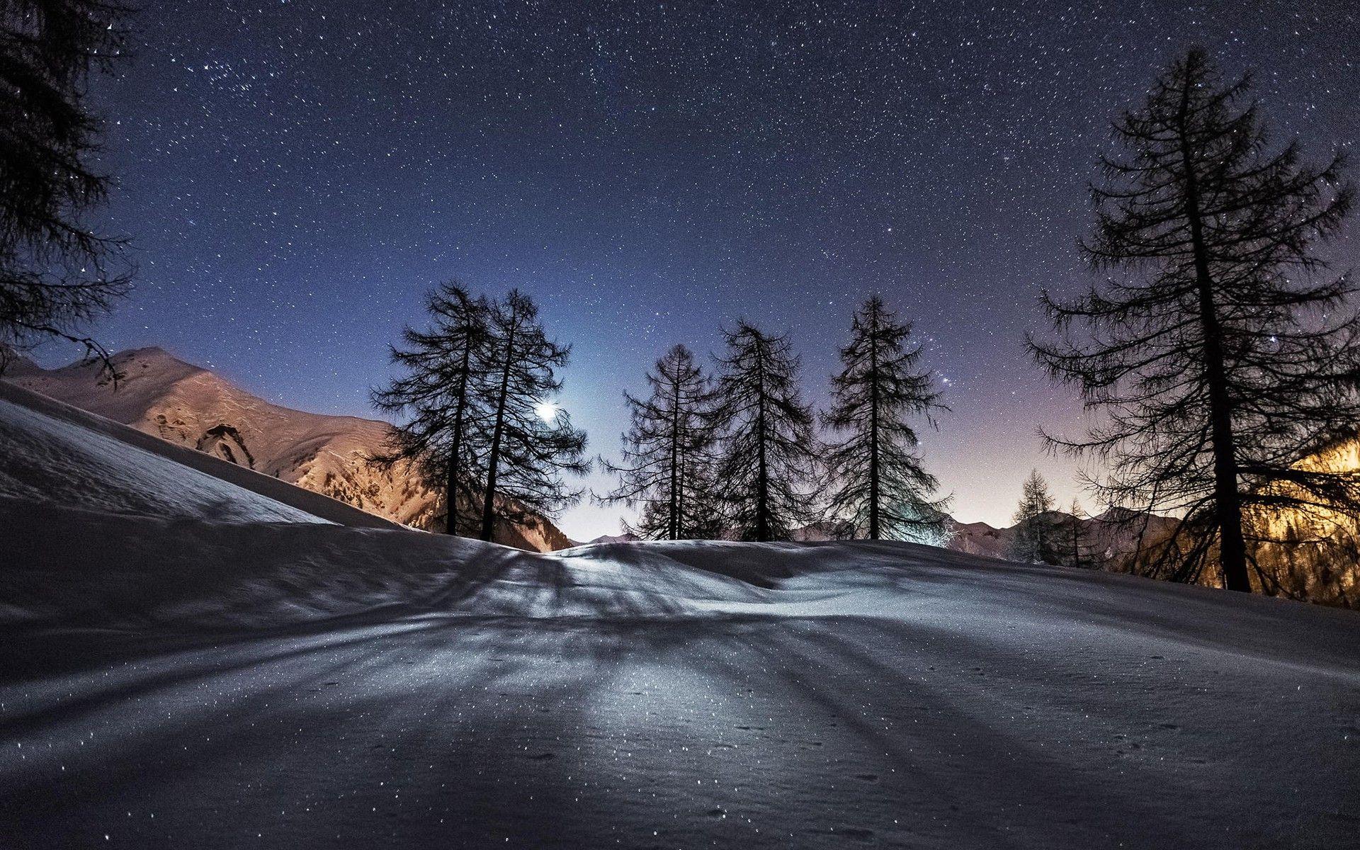landscape, Snow, Winter, Trees, Stars, Night Wallpaper HD / Desktop