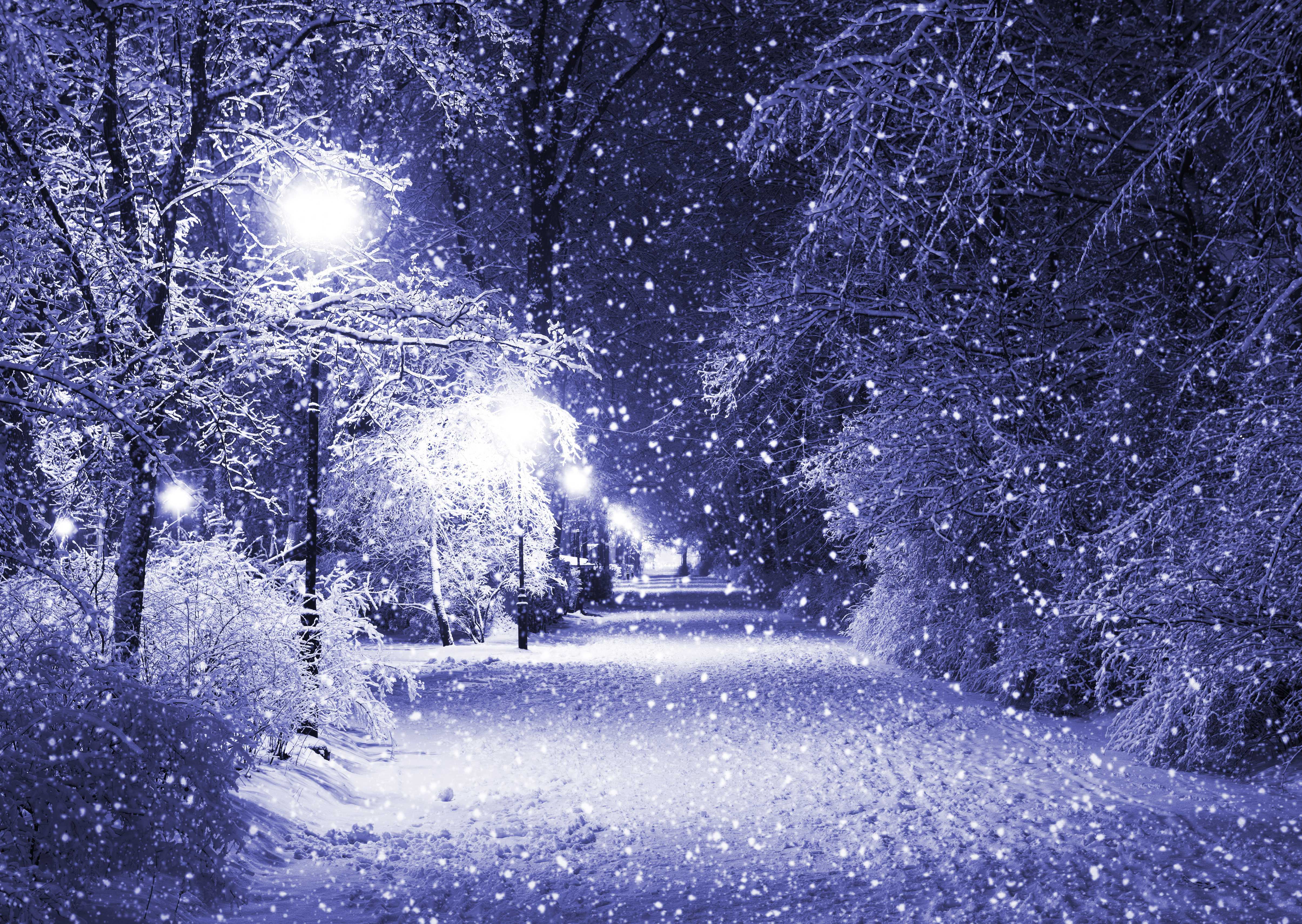 Winter Snow Night Park Trees Lights Wallpaper Forwallpaper Full HD