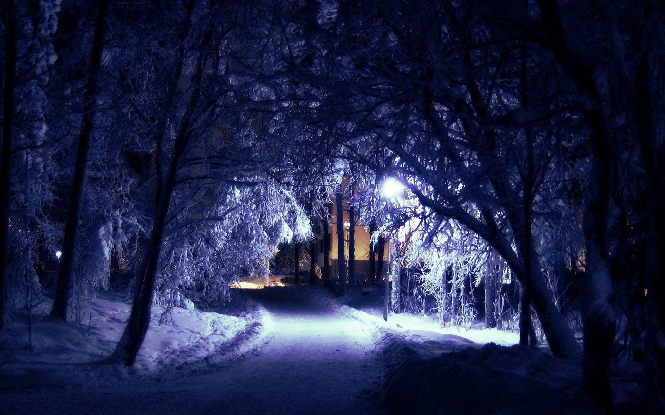 Wallpaper winter road snow night the city house street lights images  for desktop section природа  download