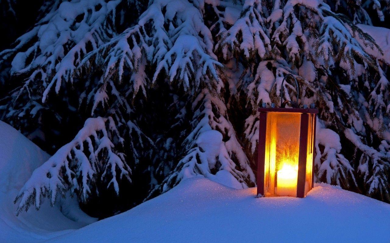 Winter: Night Snow Lantern Trees Winter Mountain Free Wallpaper