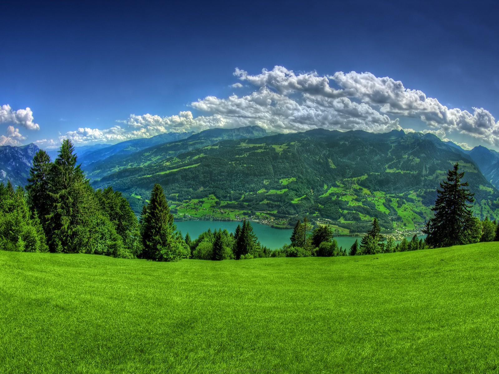 HD Widescreen Background Wallpaper: Beautiful Green Background