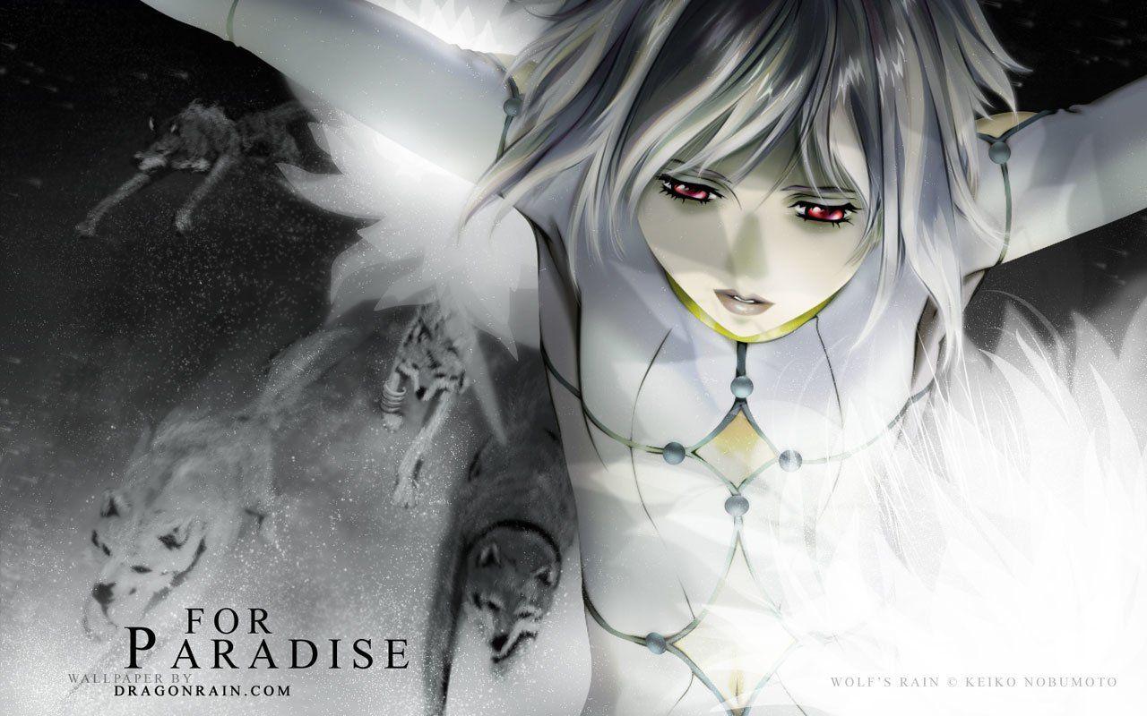 Wolf's Rain HD Wallpaper and Background Image