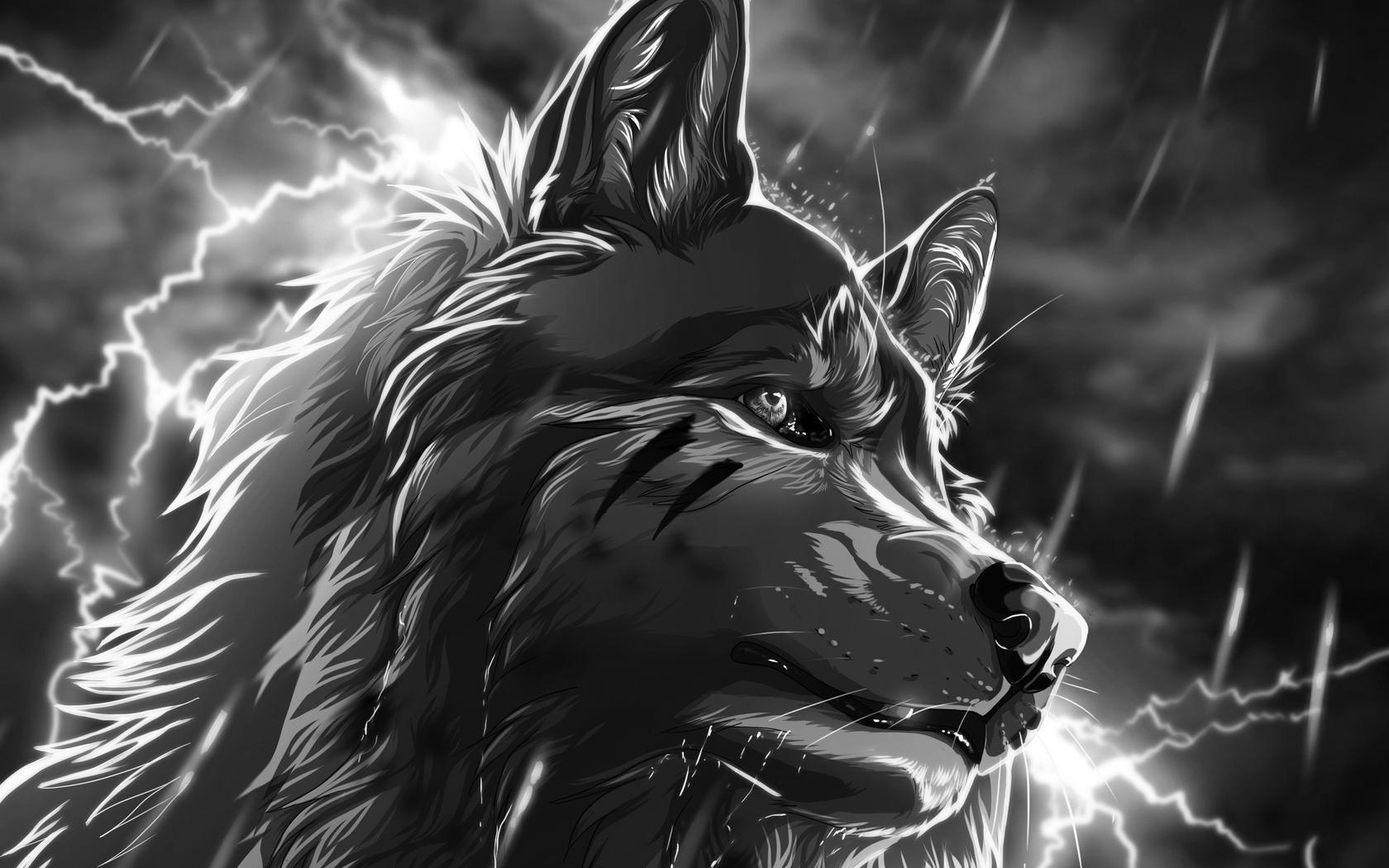 Gray Wolf Rain Lightning Night Anime Hd Wallpaper