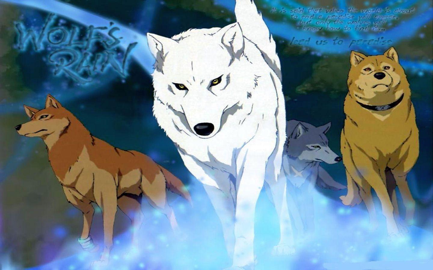 Kiba anime