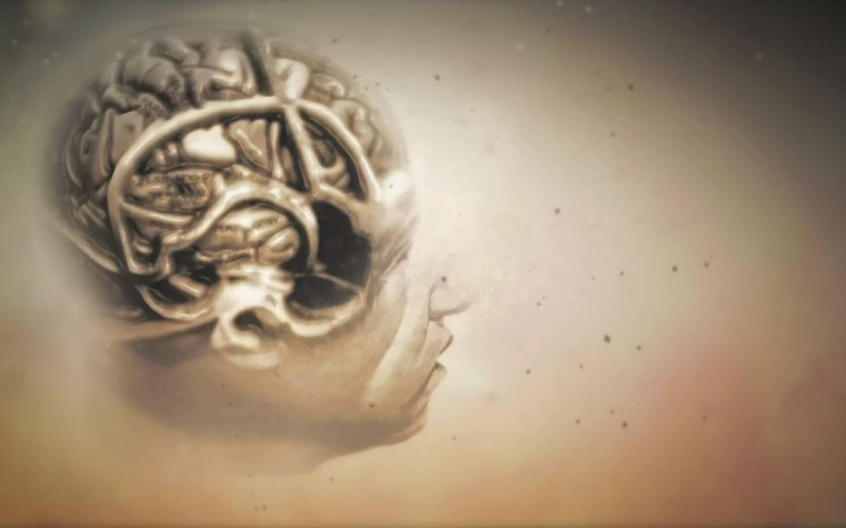 Image for 3D Brain Wallpaper 1080p HD. Música. Brain