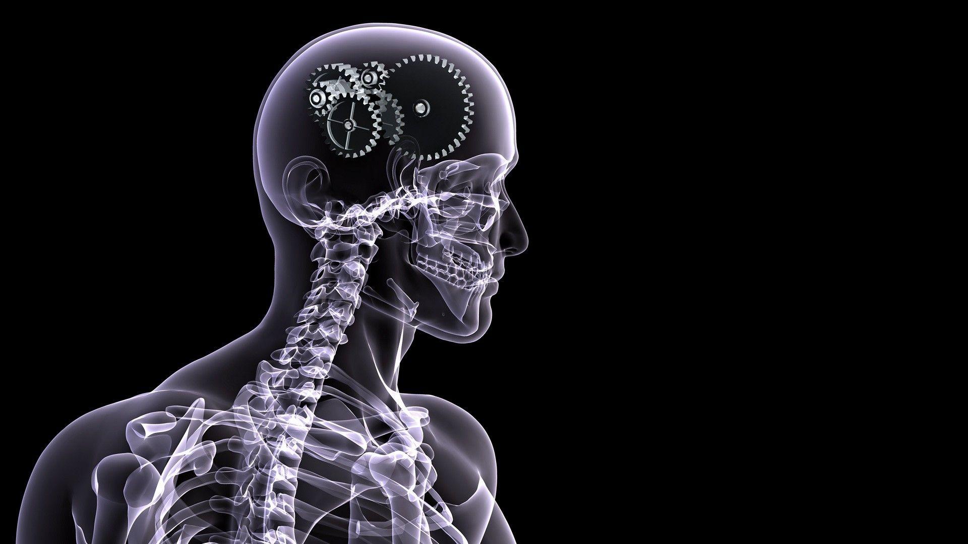 Skulls, Anatomy, Gears, Brain, Skeletons, Digital Art, X Ray, Black