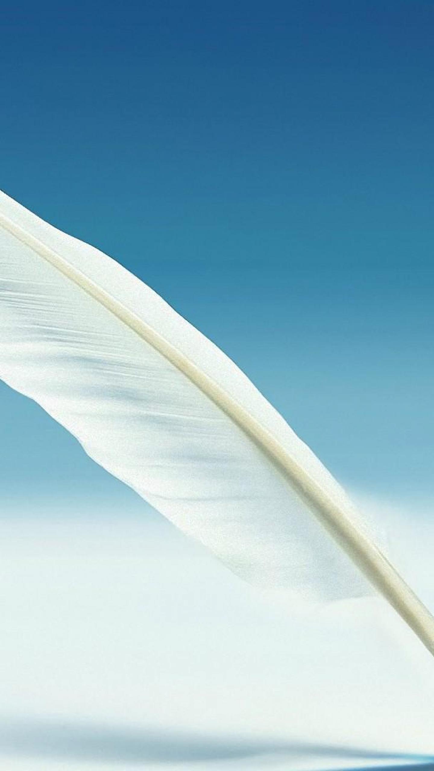 Photography Pen White feather pen Feather HD Wallpaper, Desktop