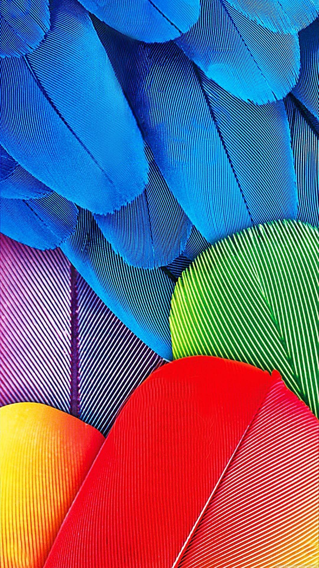 Colorful Feathers Wallpaper. *Colorful and Rainbow Wallpaper