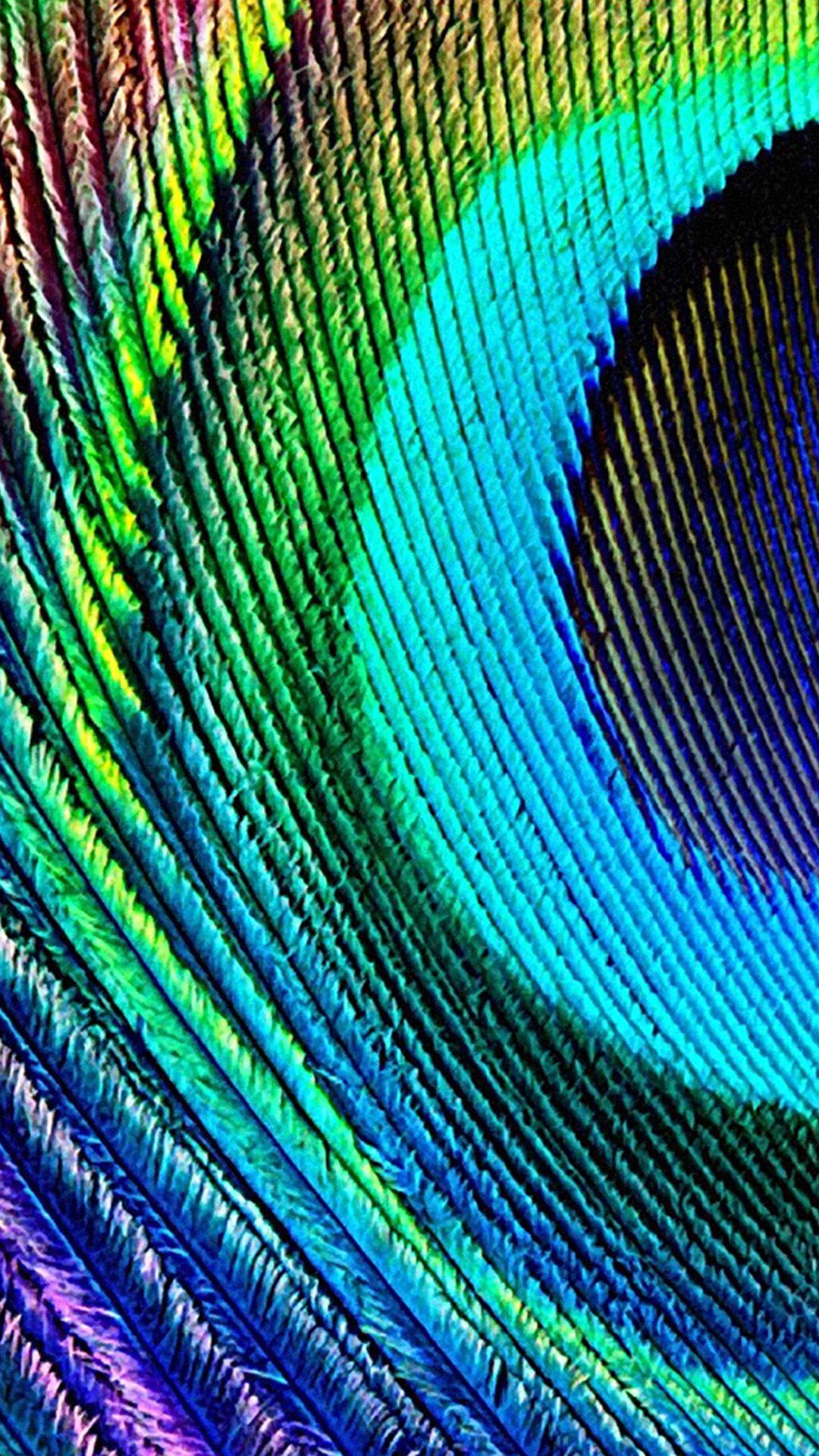 Peacock feather 2 Samsung Wallpaper, Samsung Galaxy S Galaxy S4