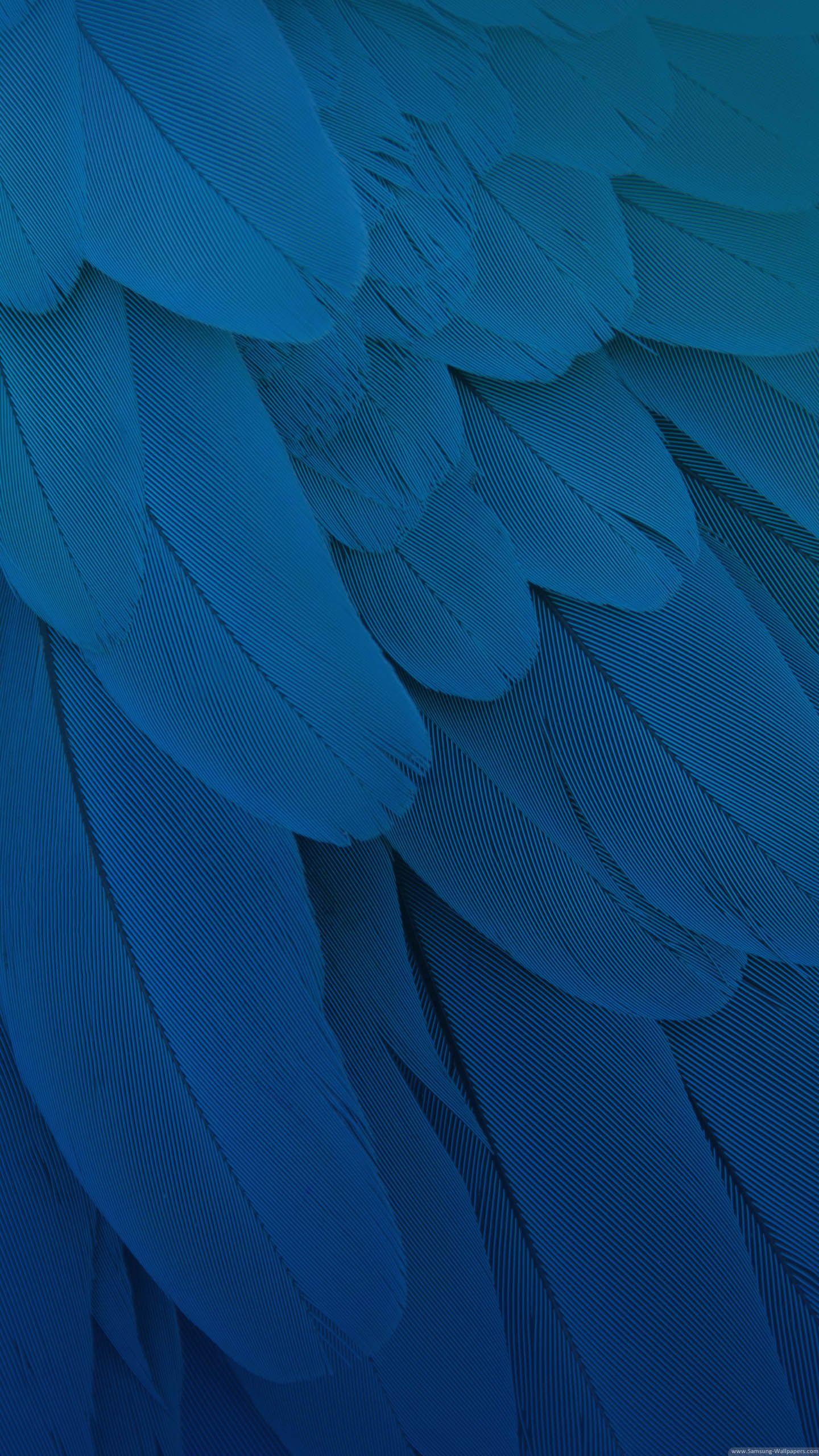 Feather Background Stock 1440x2560 Samsung Galaxy S6 Wallpaper