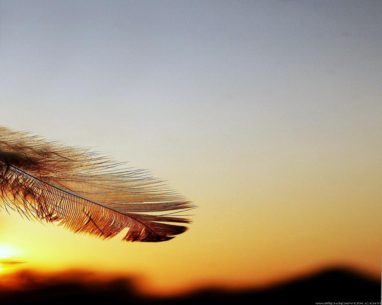 Samsung Galaxy Note 3 Stock Feather Sunset Full HD Android Wallpaper
