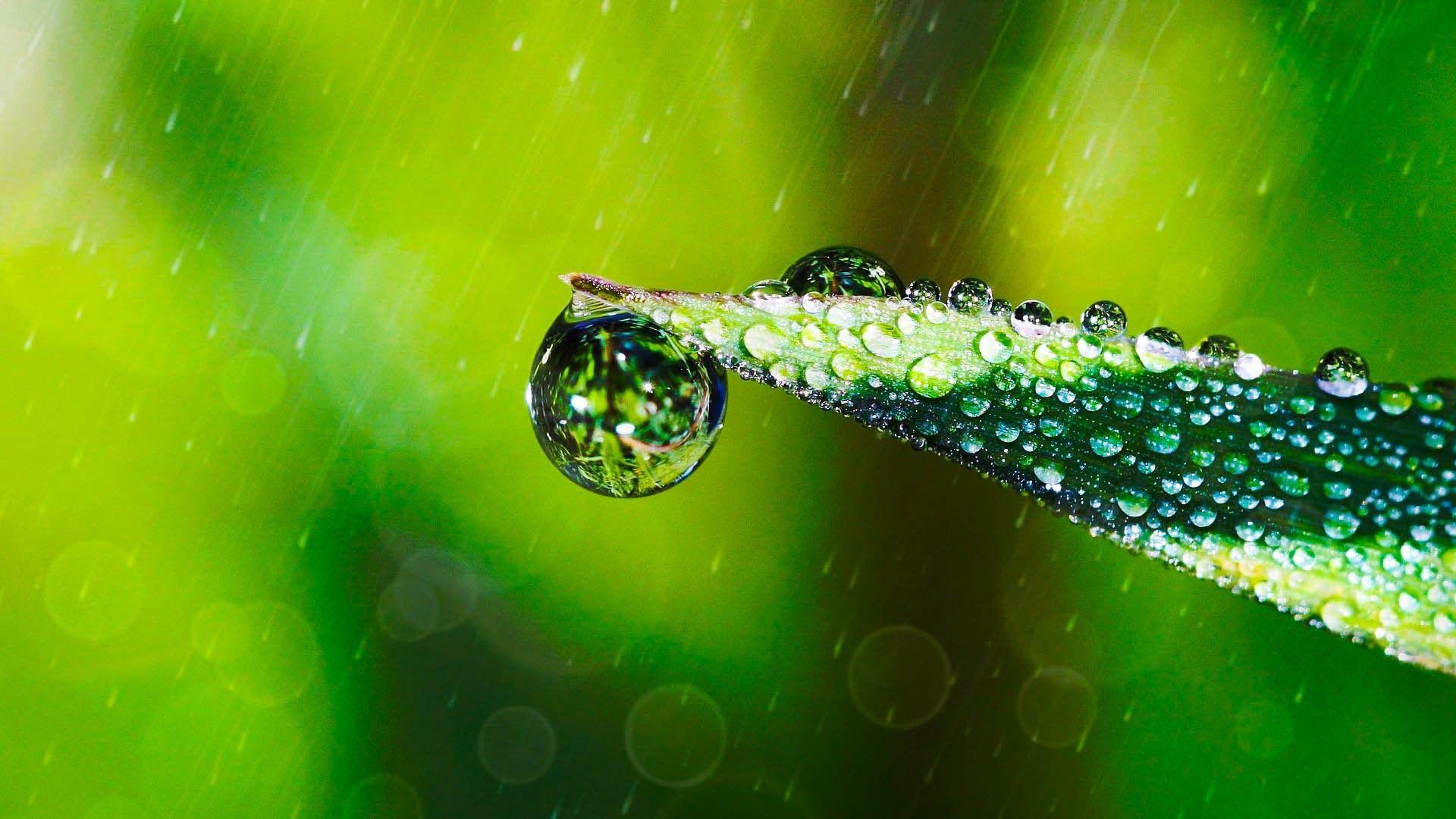 Eye Soothing Wallpapers Wallpaper Cave