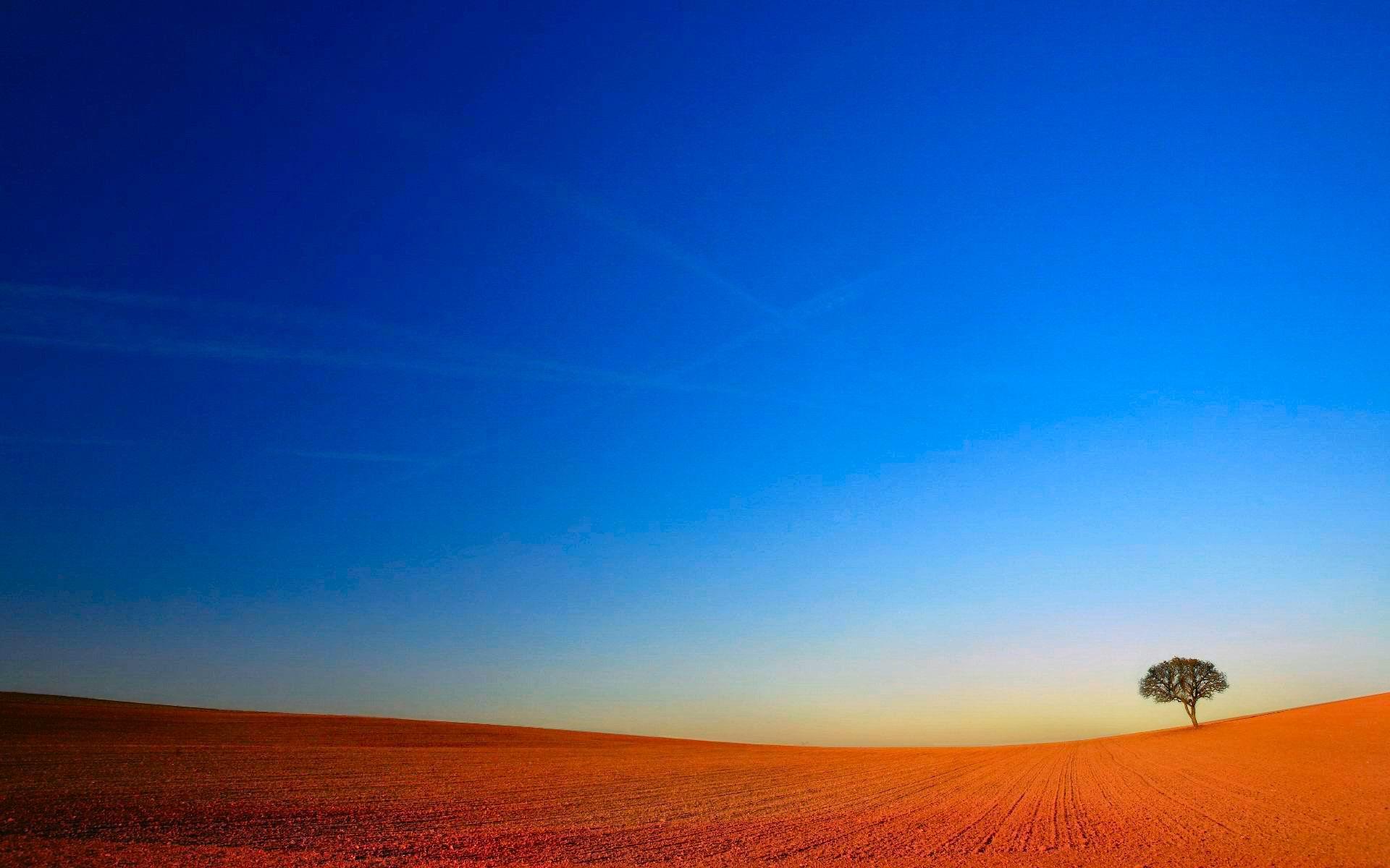 LONELY TREE [22] blue sky horizon [17april2014thursday] [152639