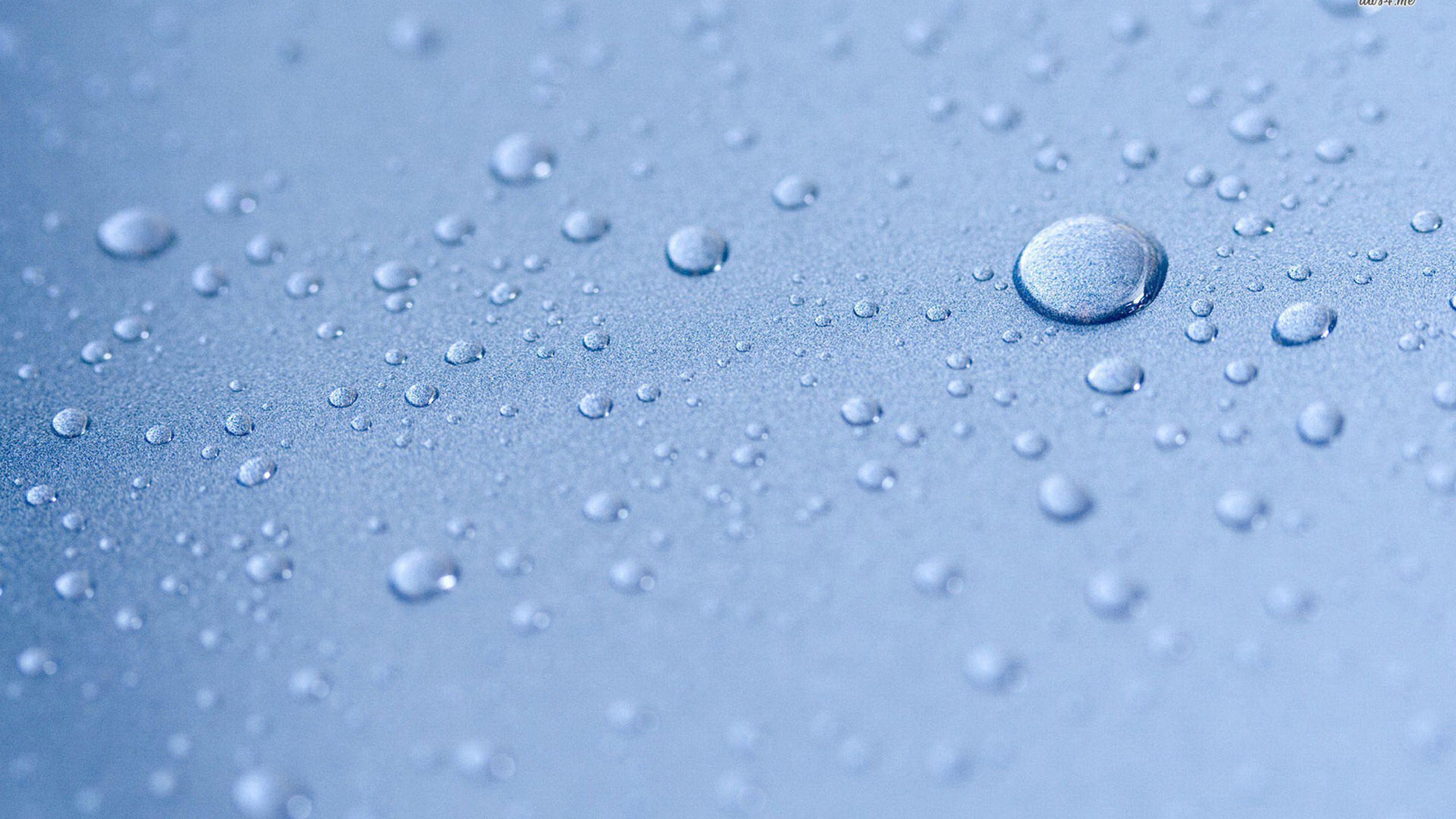 Water droplet wallpaper HD Desktop Wallpaper. Download