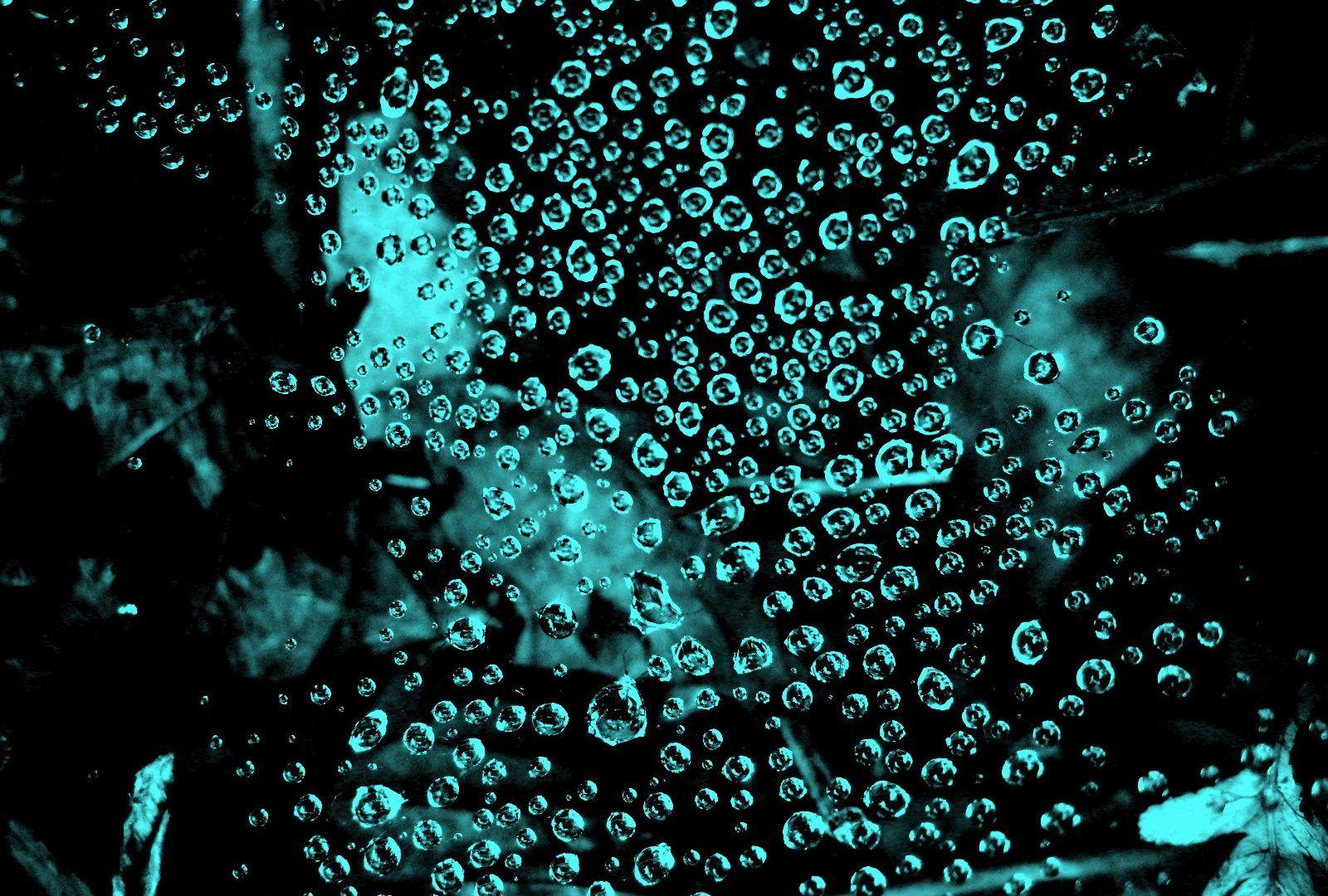 Droplet Tag wallpaper: Yellow Leaf Water Droplets Droplet Mt