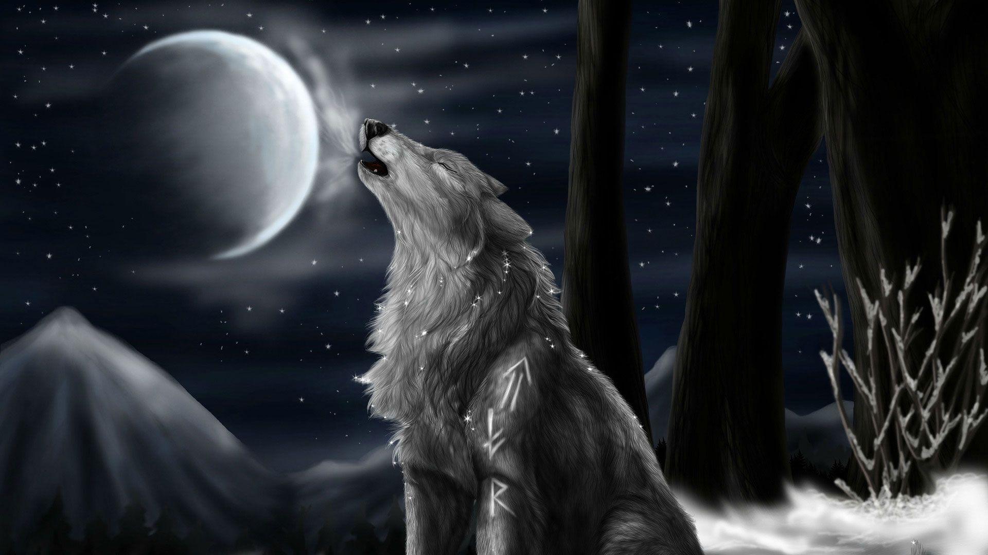 Howling Wolf Desktop Wallpaper HD Pics For Laptop Animated In Night