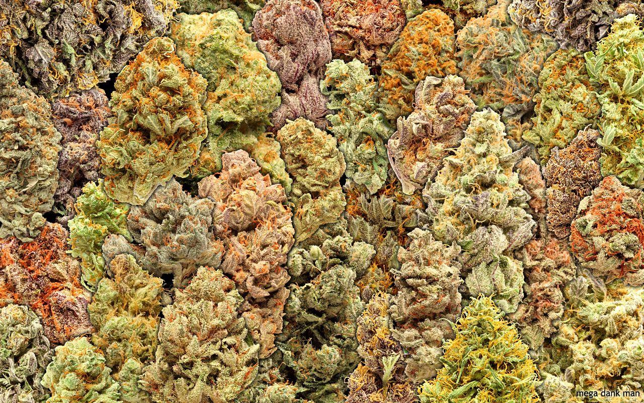 Marijuana Wallpaper HD Group (67)
