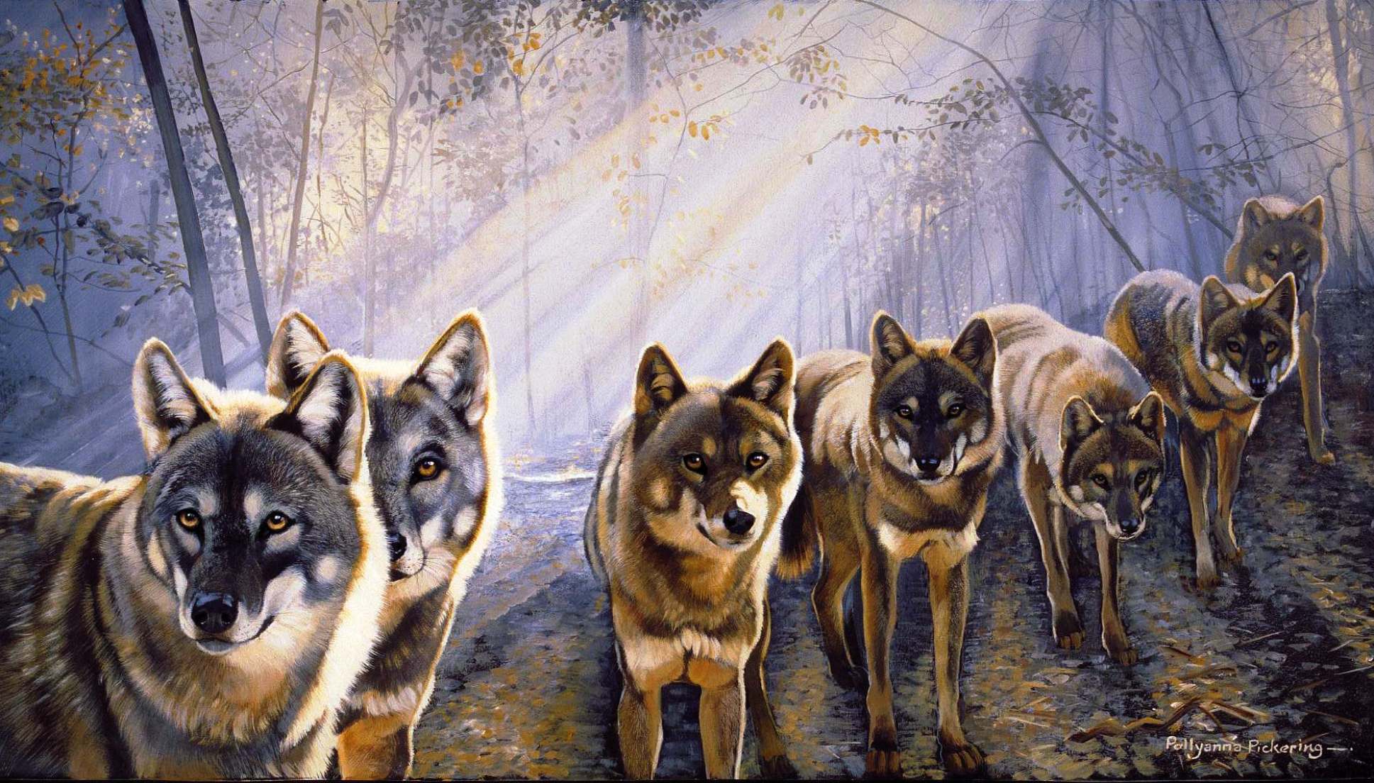 Wolf Pack Wallpaper Gallery (84 Plus) PIC WPW5011435