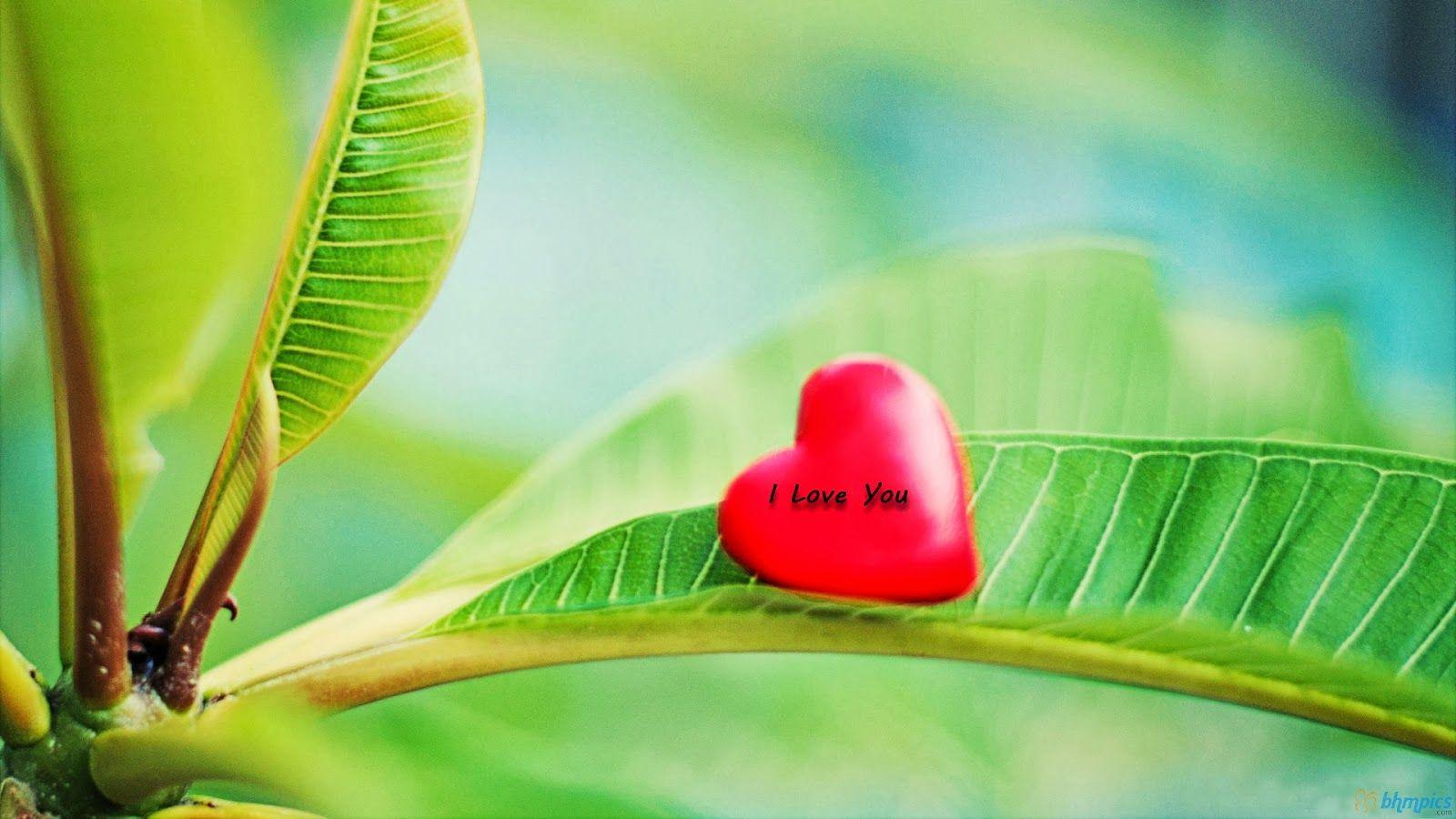 I love you Text Picture for Facebook HD Image Free Download
