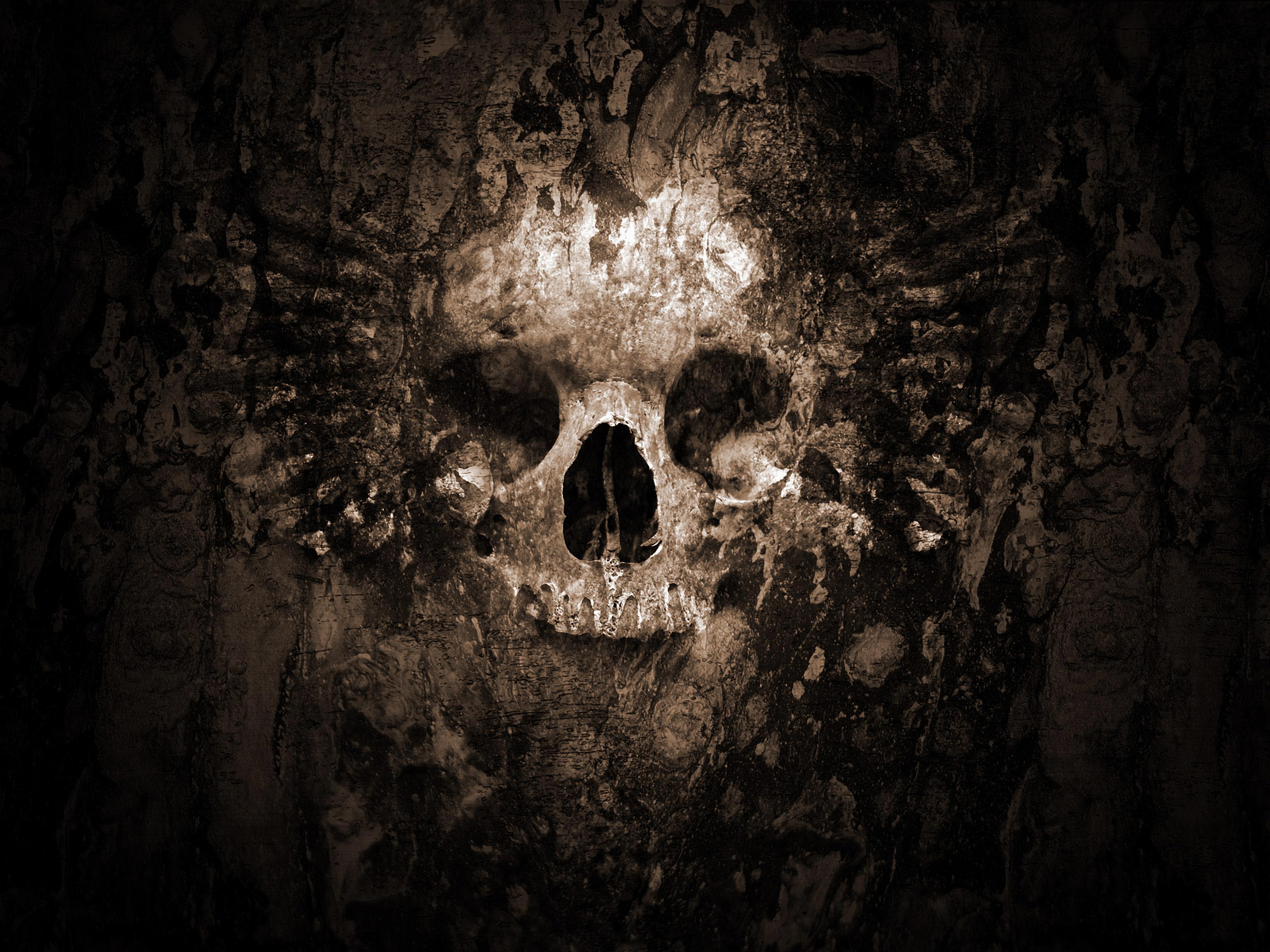4K Ultra HD Skull Wallpaper and Background Image