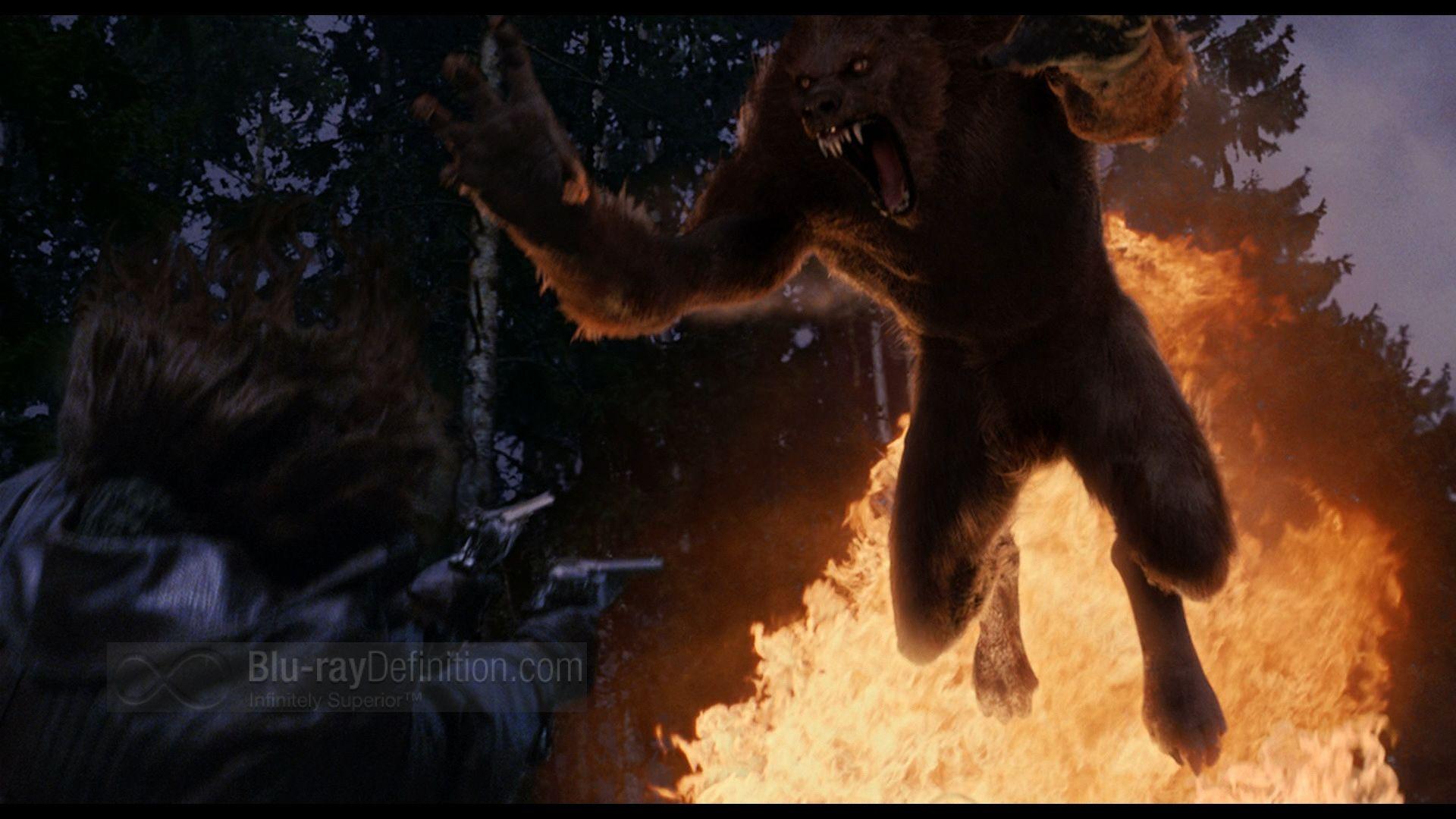 Van Helsing Werewolf Image Earthly Wallpaper 1080p
