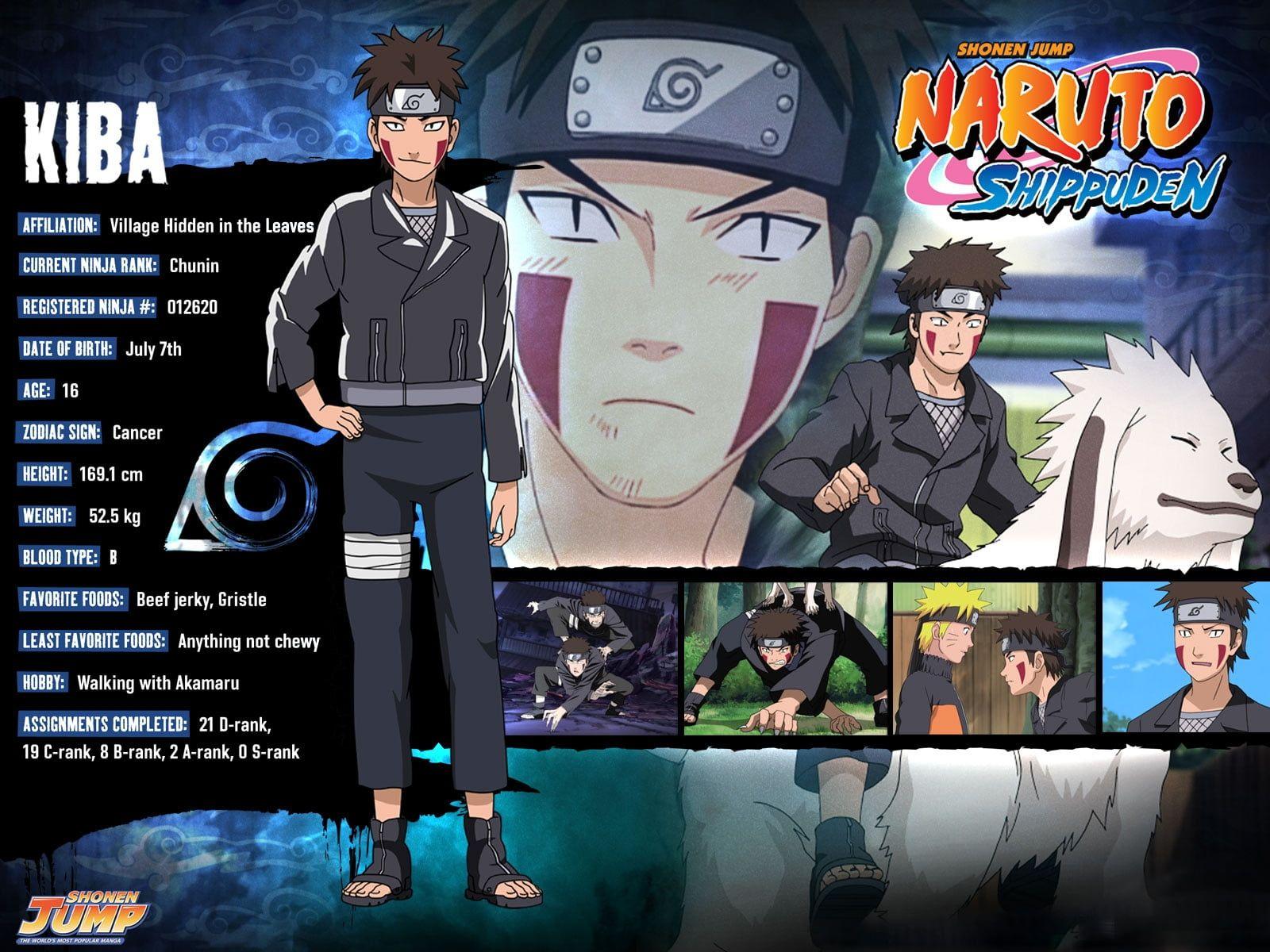 Naruto Shippuden Kiba illustration HD wallpaper