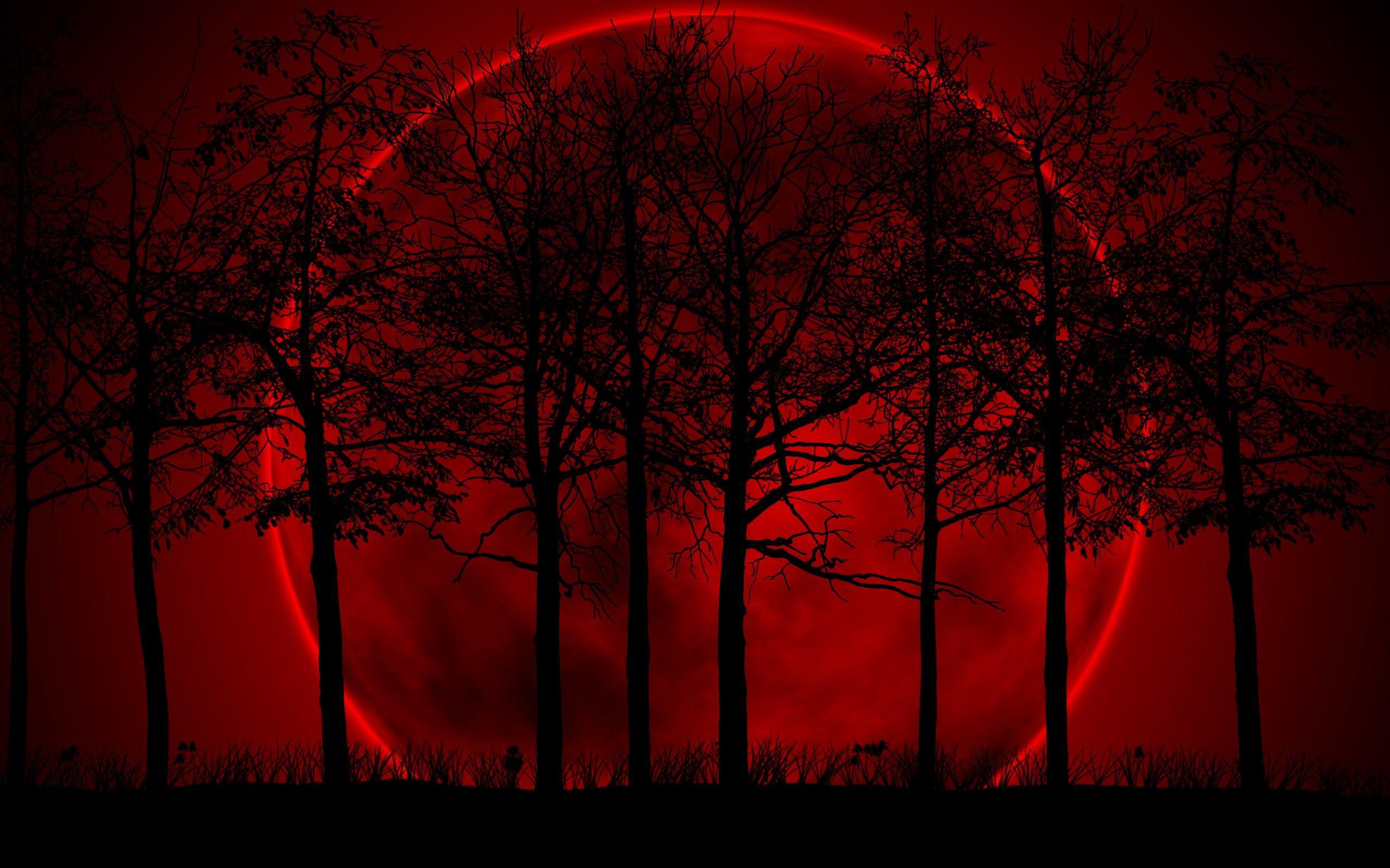 Desktop Wallpaper Blood Red Highdefinition Television Wallpaper PNG  1920x1080px 4k Resolution Blood Atmosphere Blood Cell