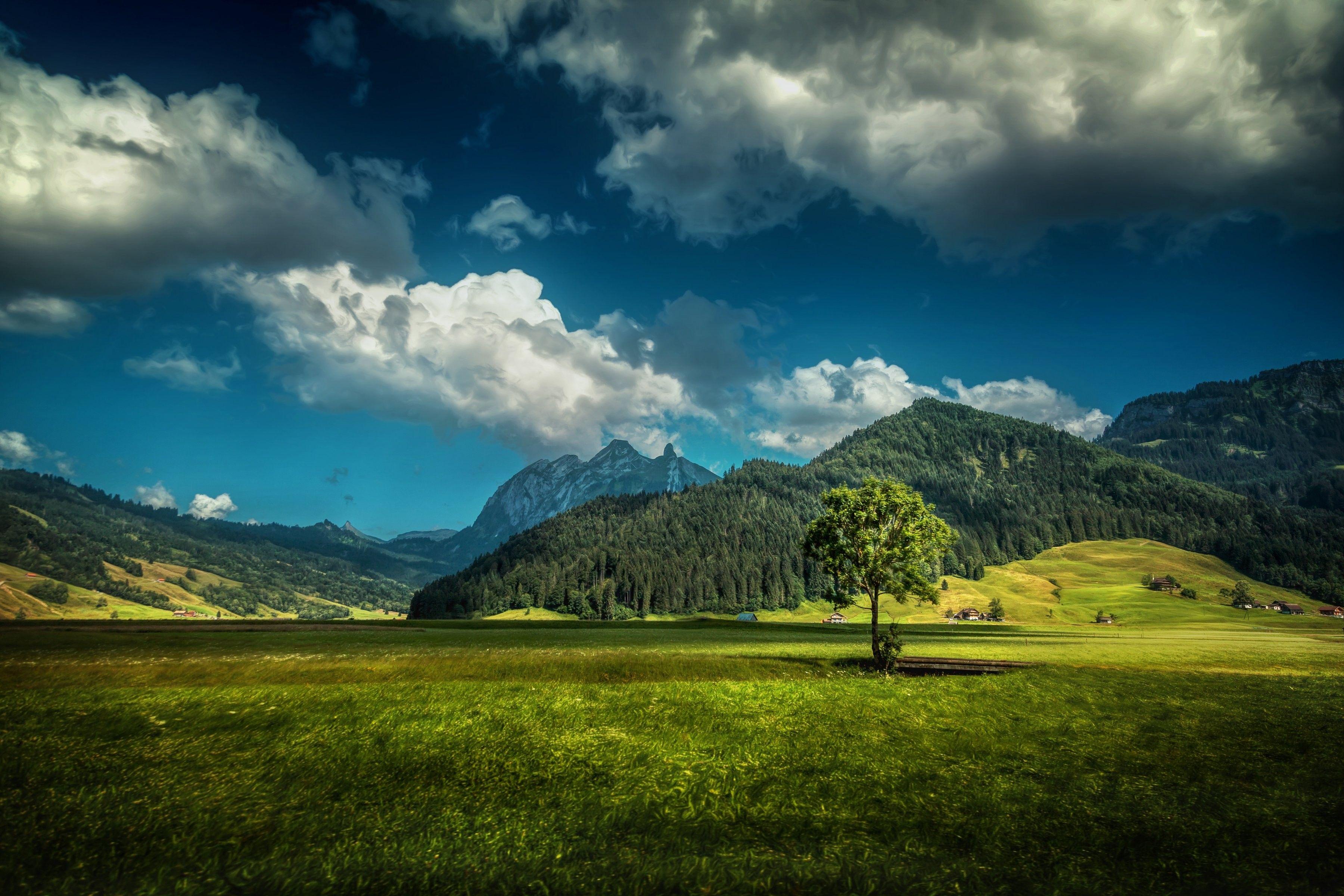 Landscapes Switzerland Grass Scenery Sky Clouds Forests Mountains