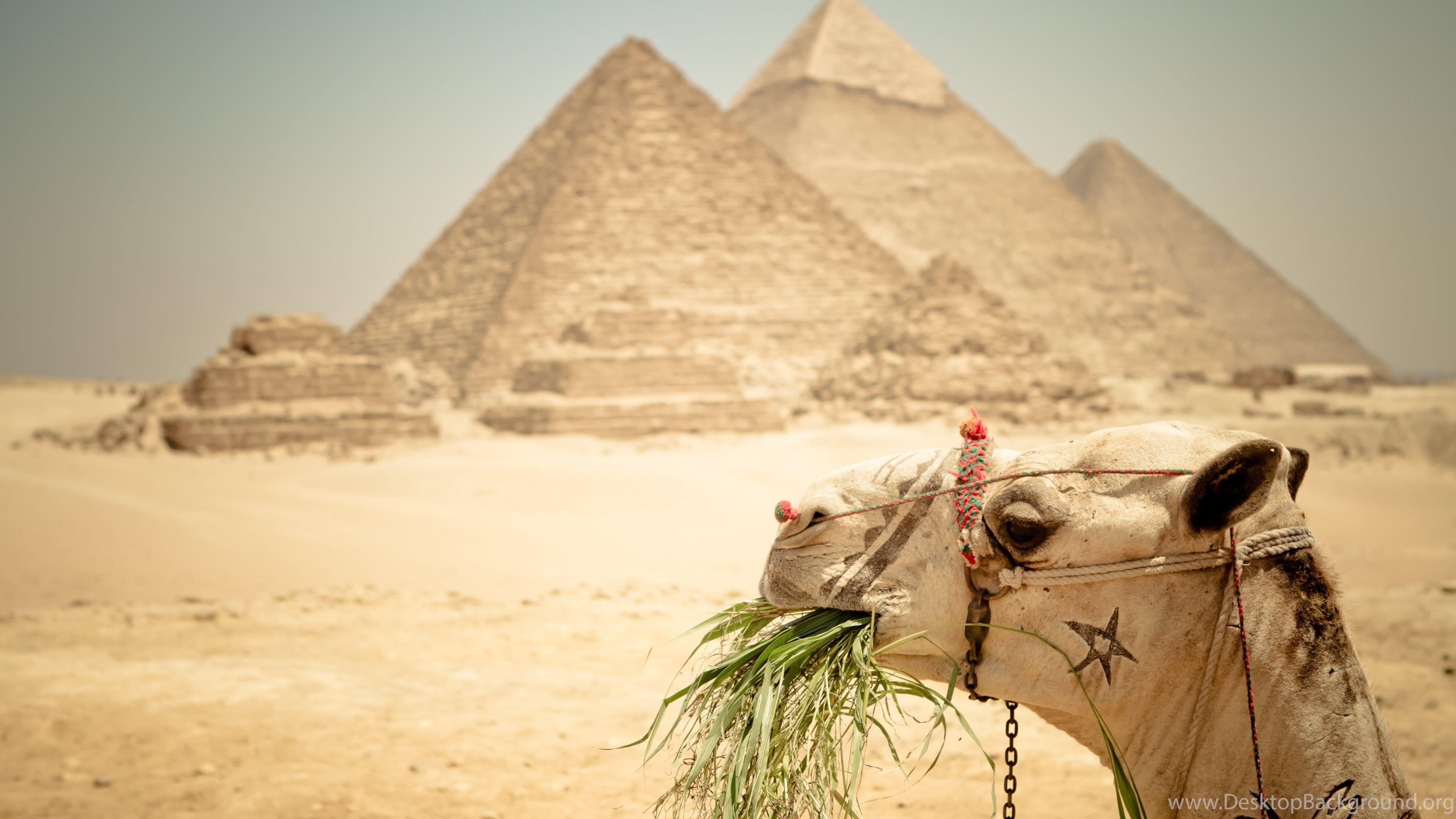 Pyramids Of Egypt Wallpaper - HD Wallpaper Desktop Background