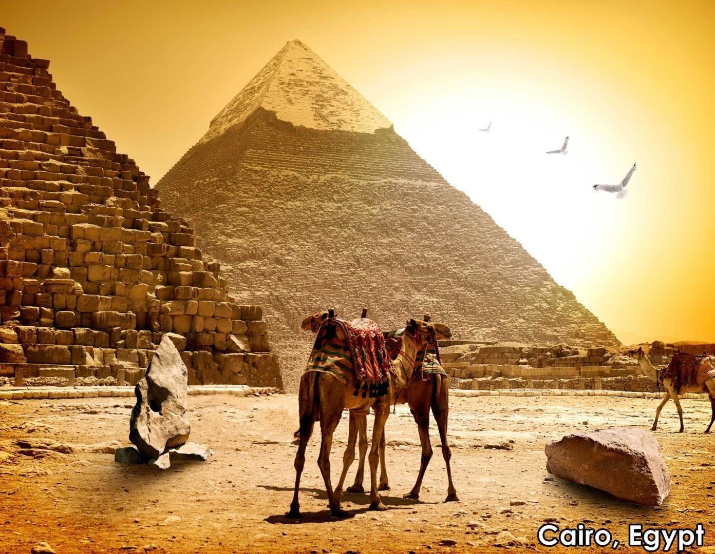 Spend time with the locals in Cairo, Egypt. Animals to see on your