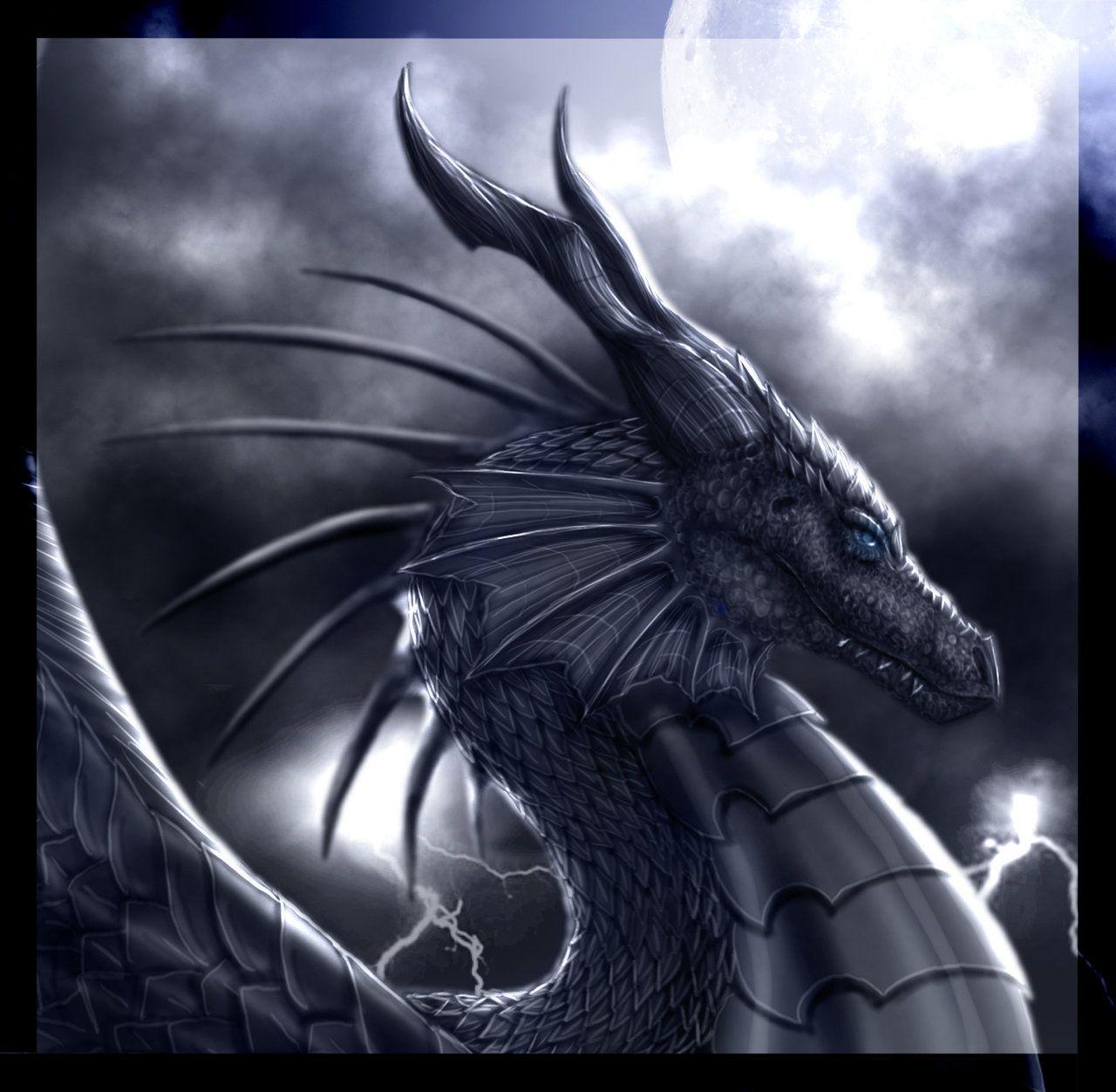 The Shadow Dragon By Noctem Tenebris