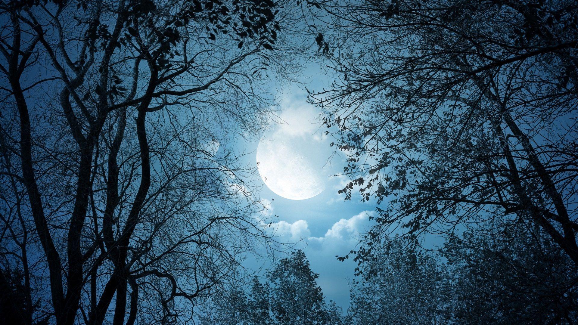 Desktop full moon background wallpaper
