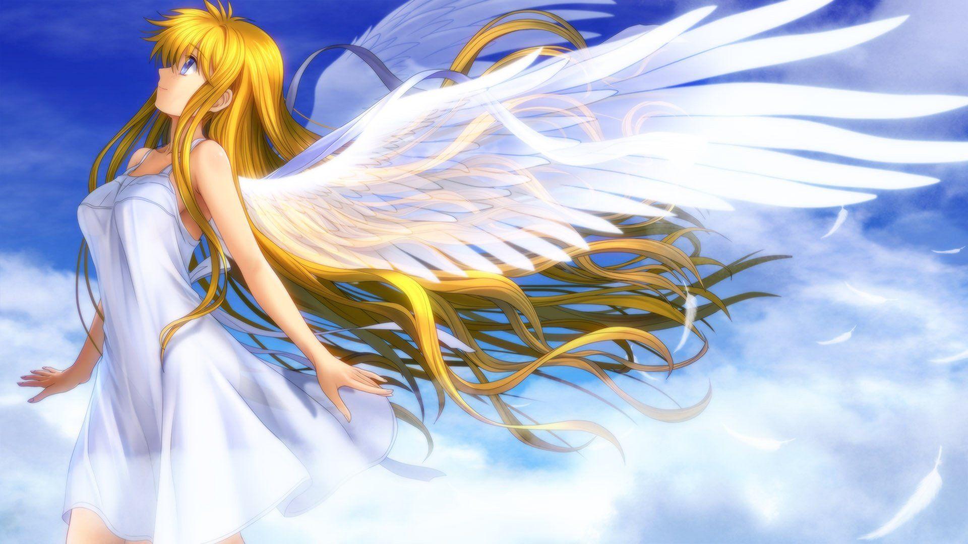 Pretty Anime Angel feathers wallpaper white wings file