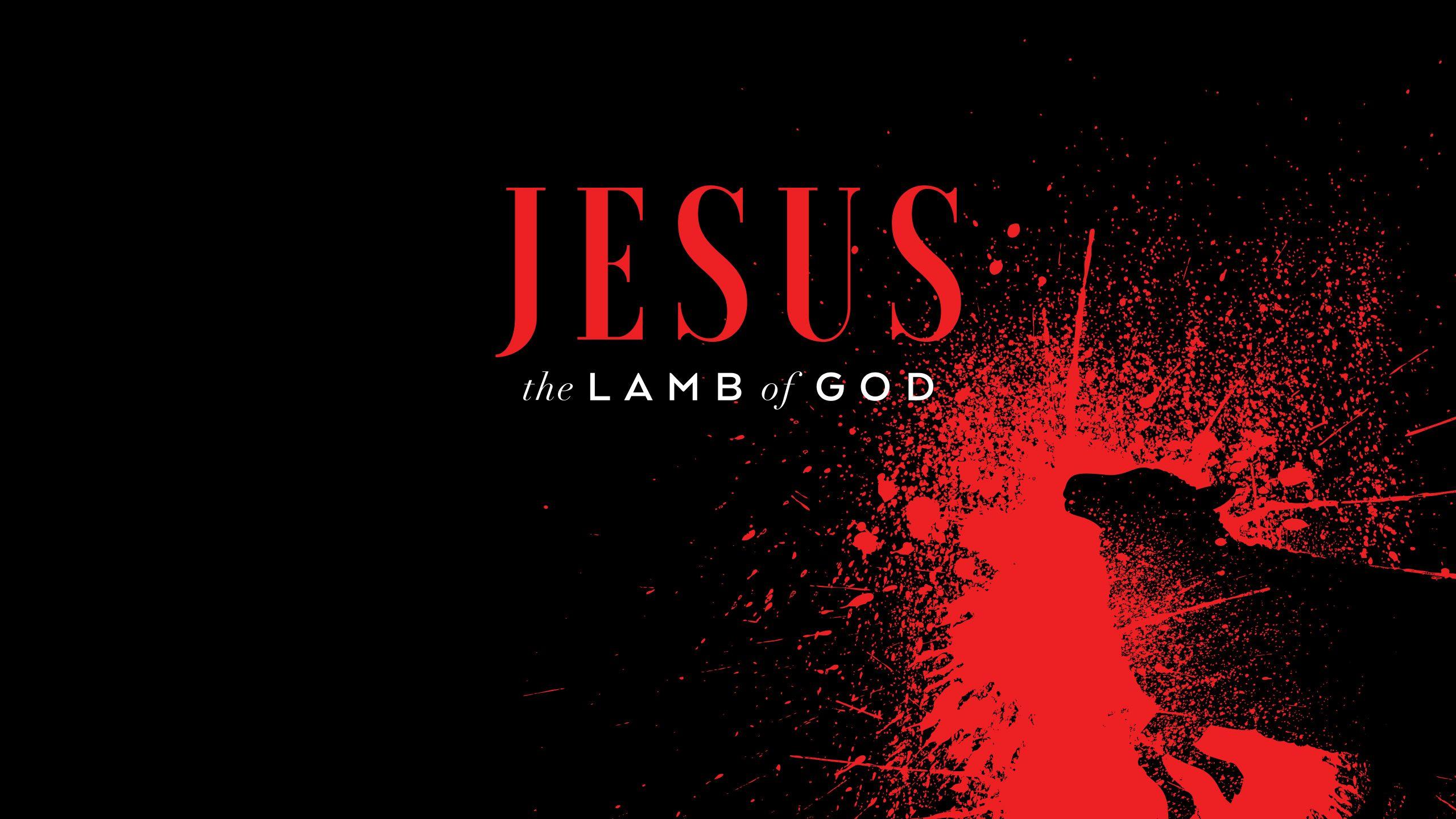 Wednesday Wallpaper: Lamb of God