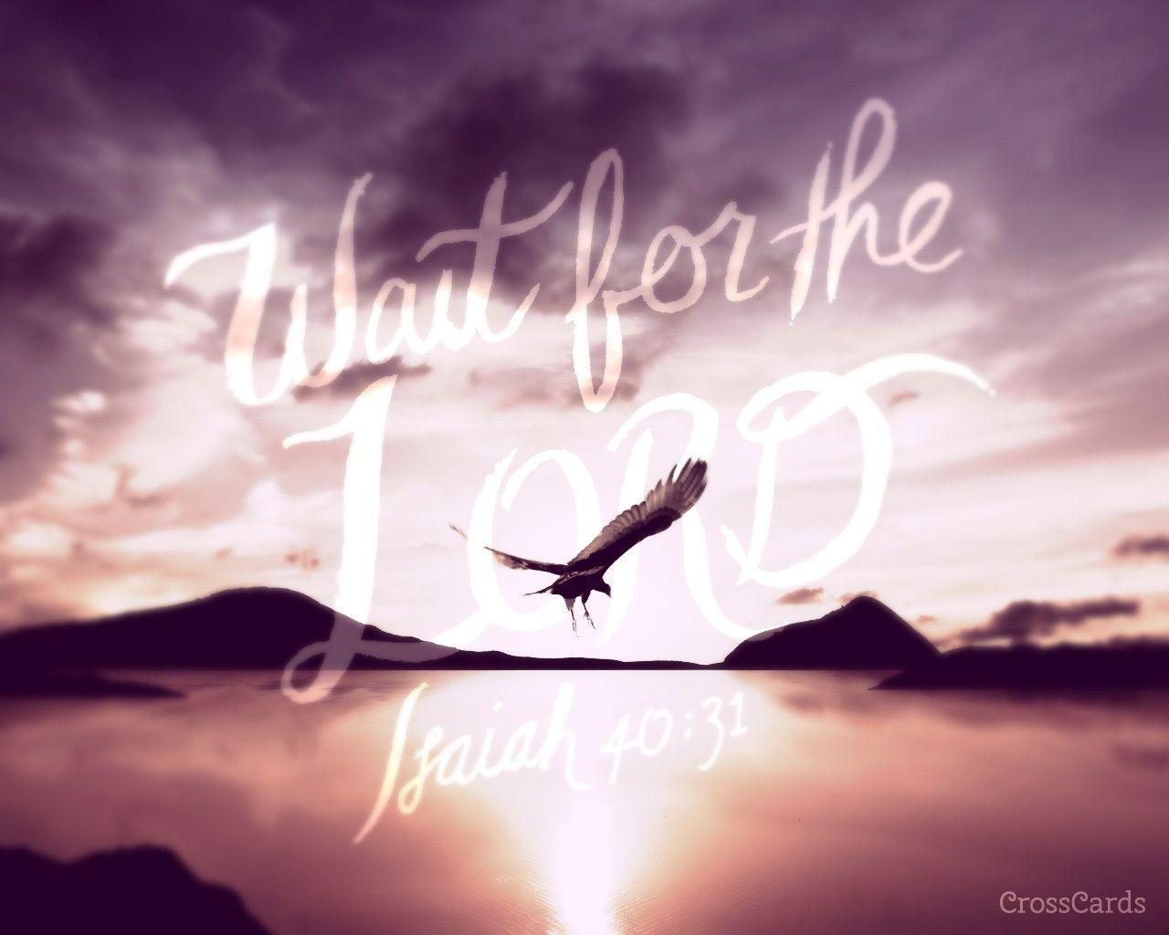 Wait for the Lord 40:32 Verses and Scripture