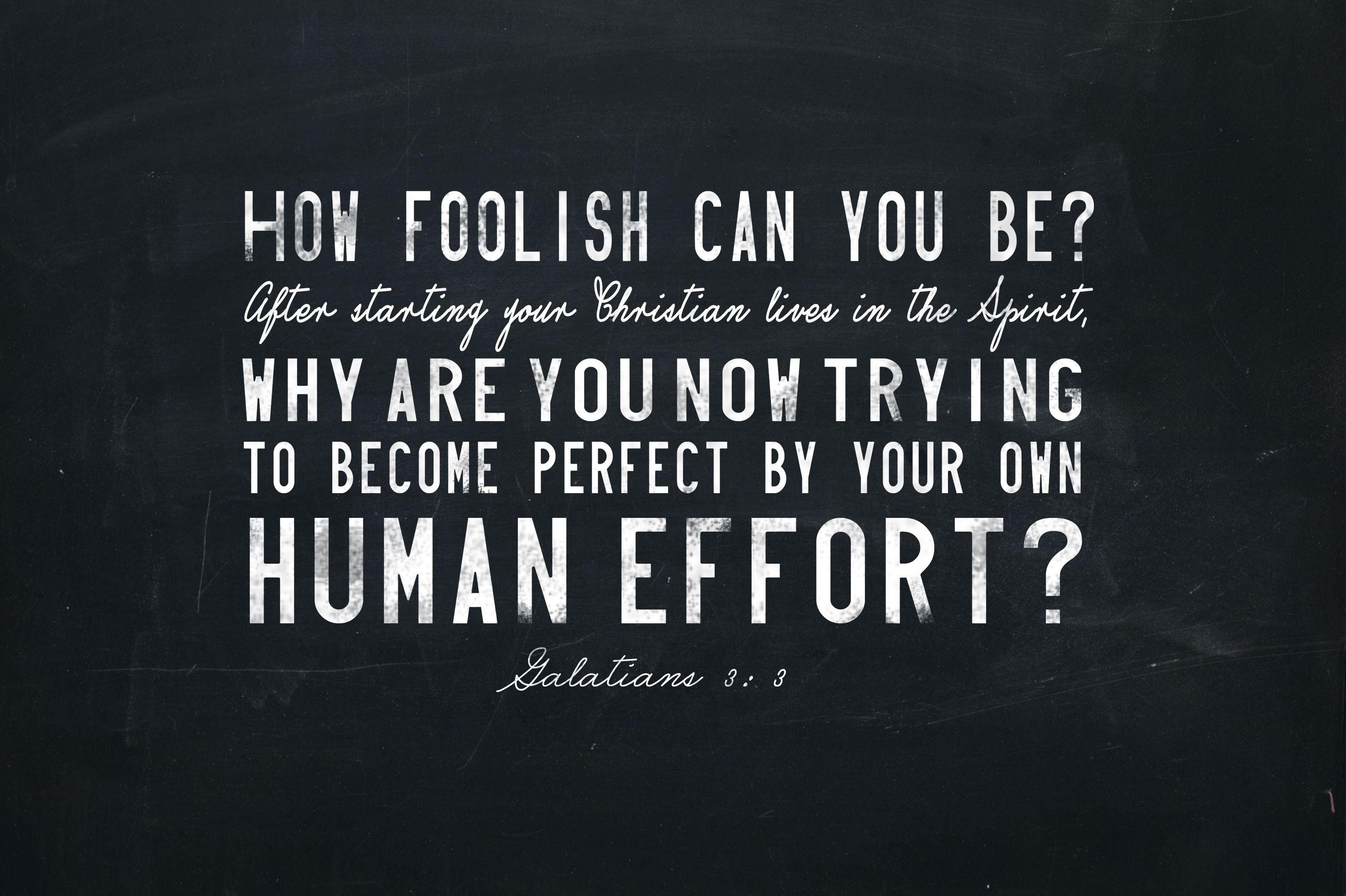 Scripture Wallpaper Download Free